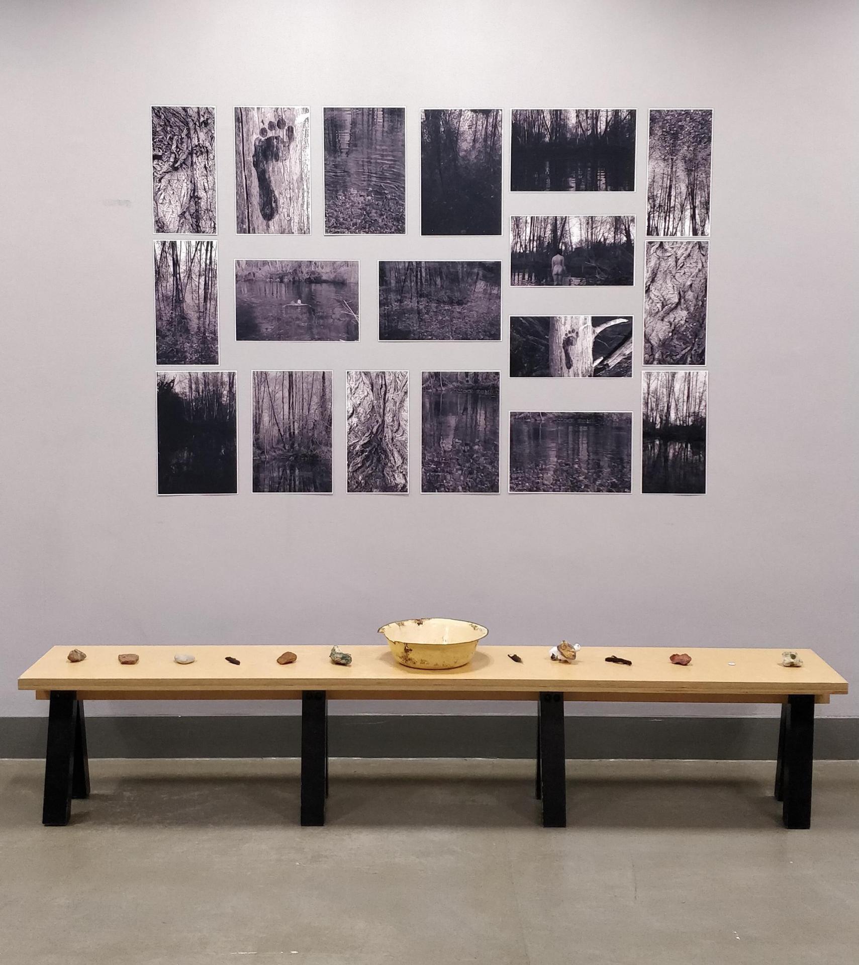 Megan Knight | Fine Art 3