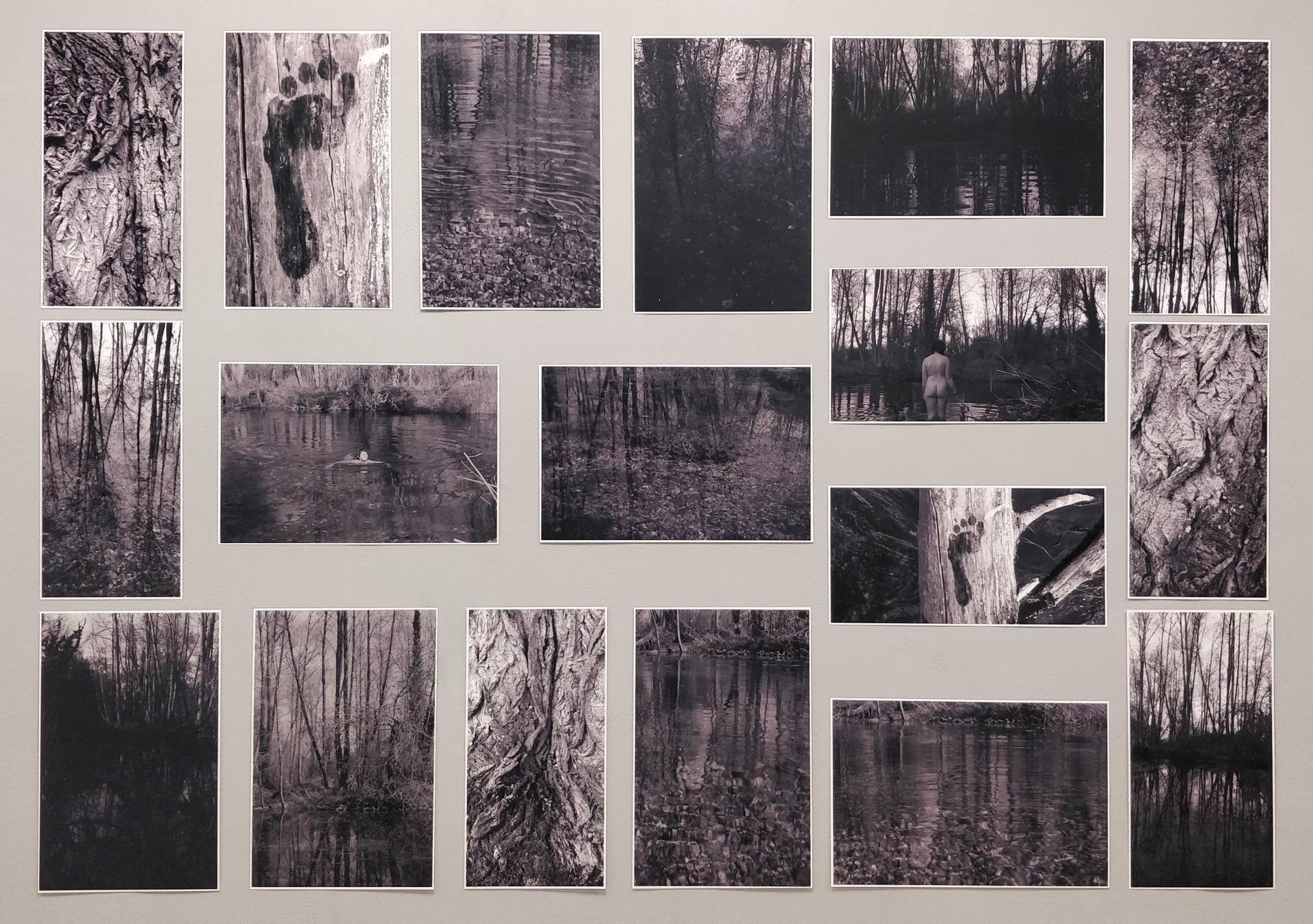 Megan Knight | Fine Art 2