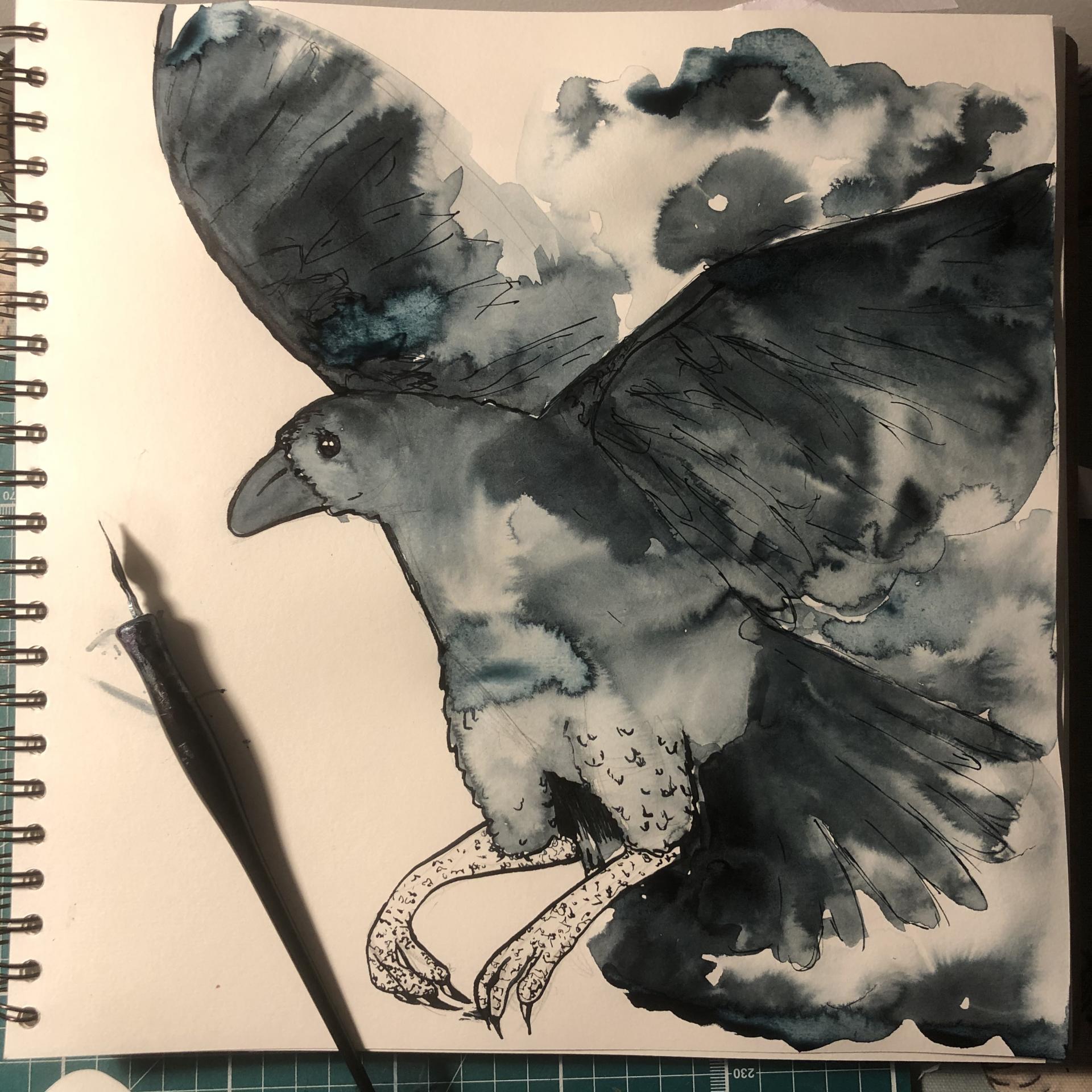 Isobel Gale | Pre-degree & Foundation Studies 7