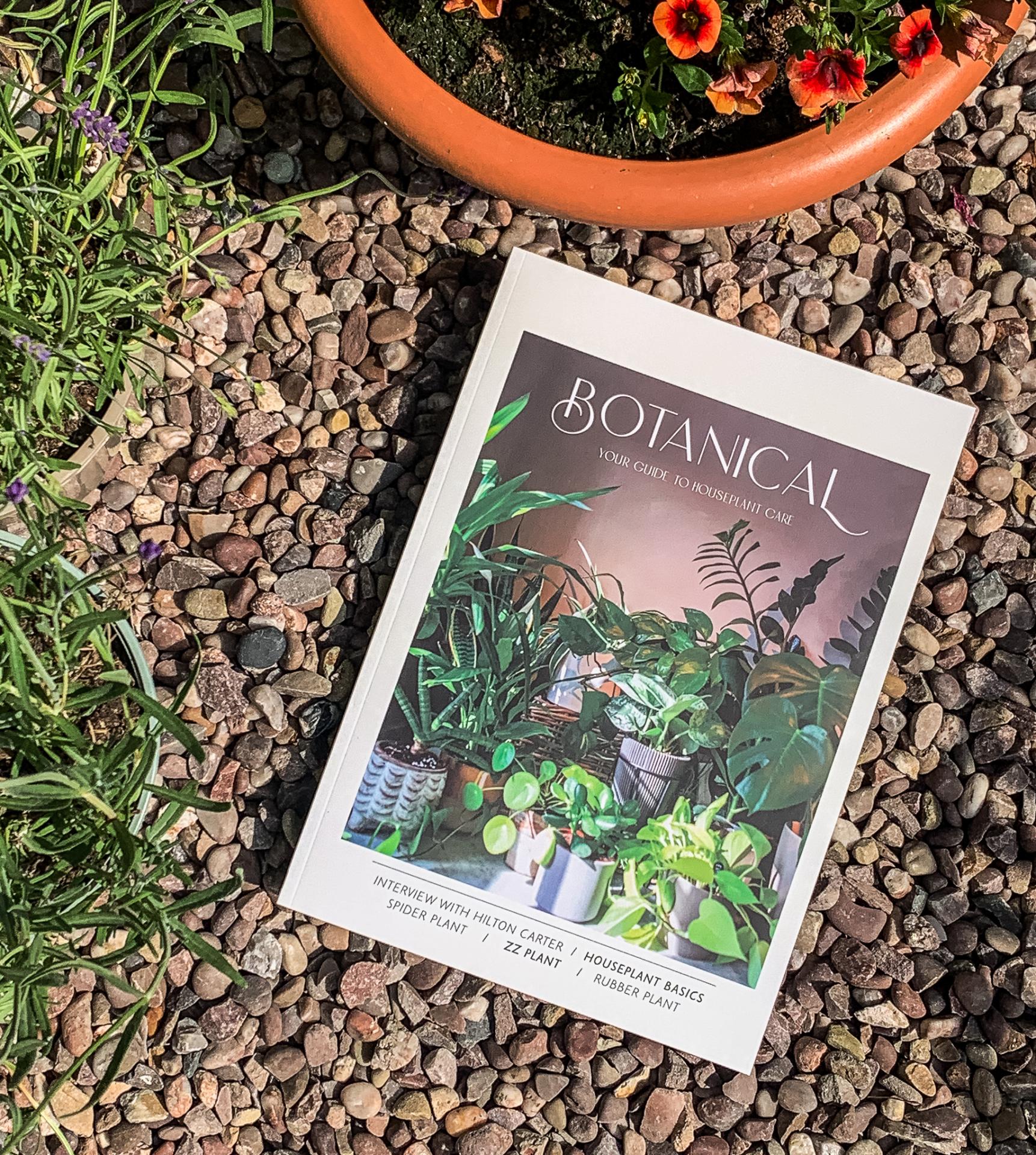 Caitlin Carter | Graphic Design 7