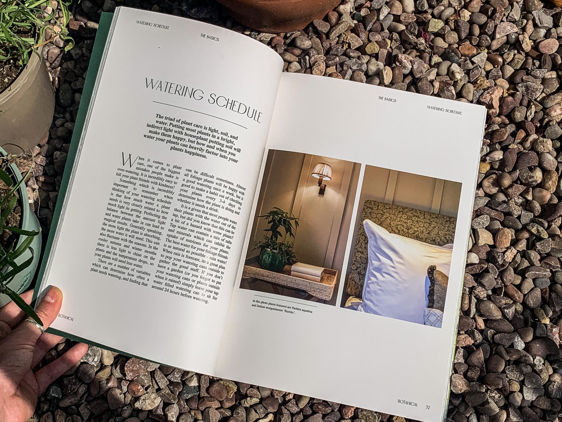 Caitlin Carter | Graphic Design 4