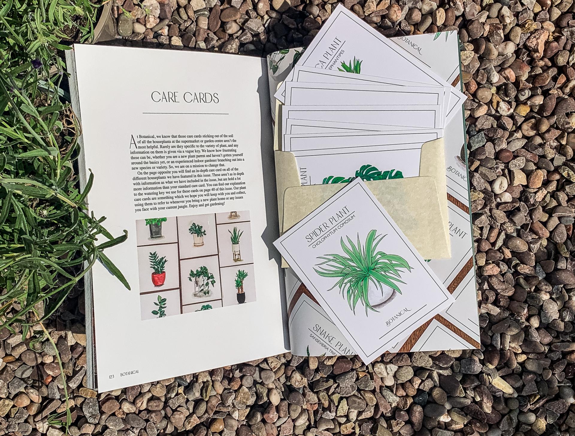 Caitlin Carter | Graphic Design 3