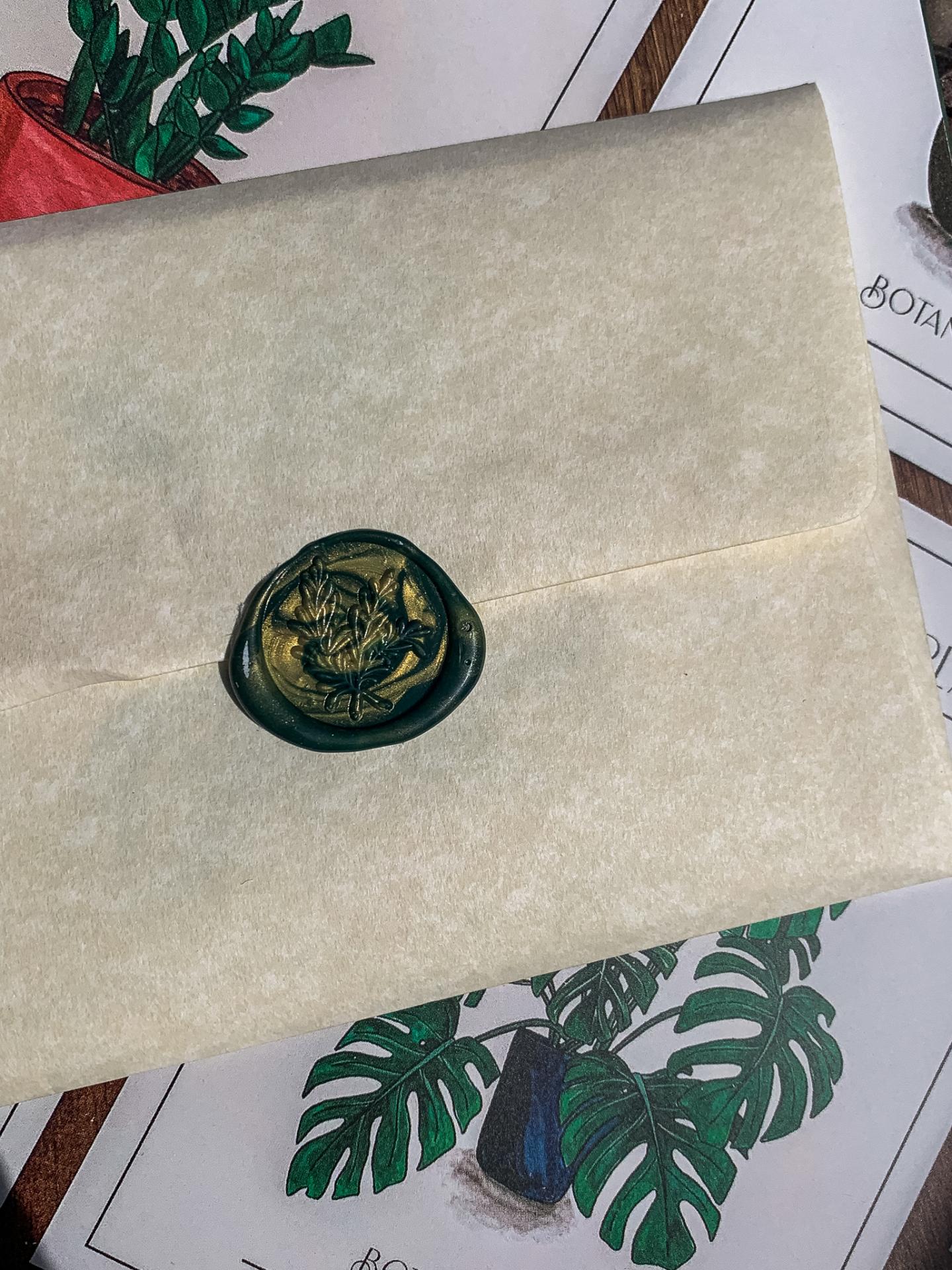 Caitlin Carter | Graphic Design 2