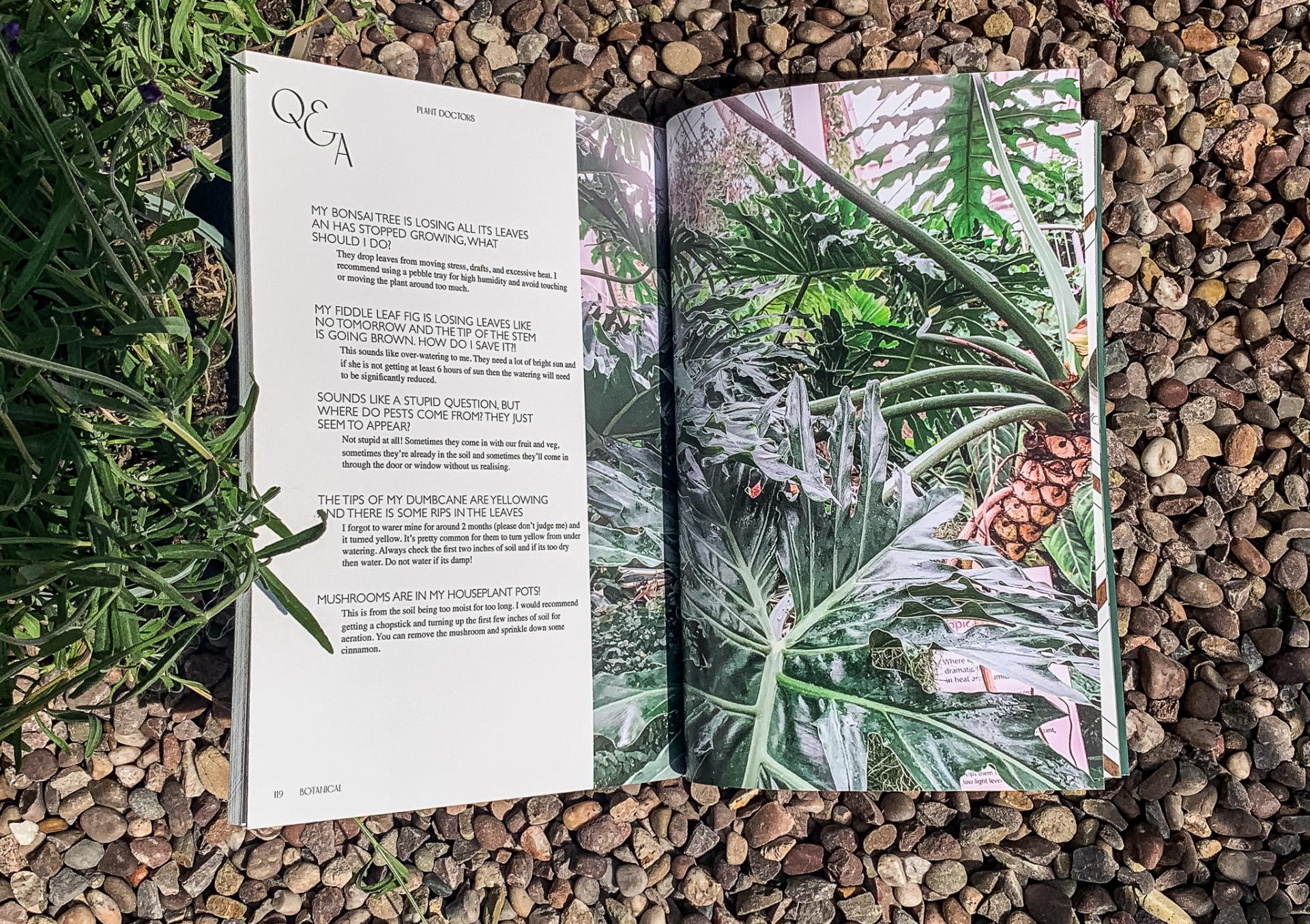 Caitlin Carter | Graphic Design 1