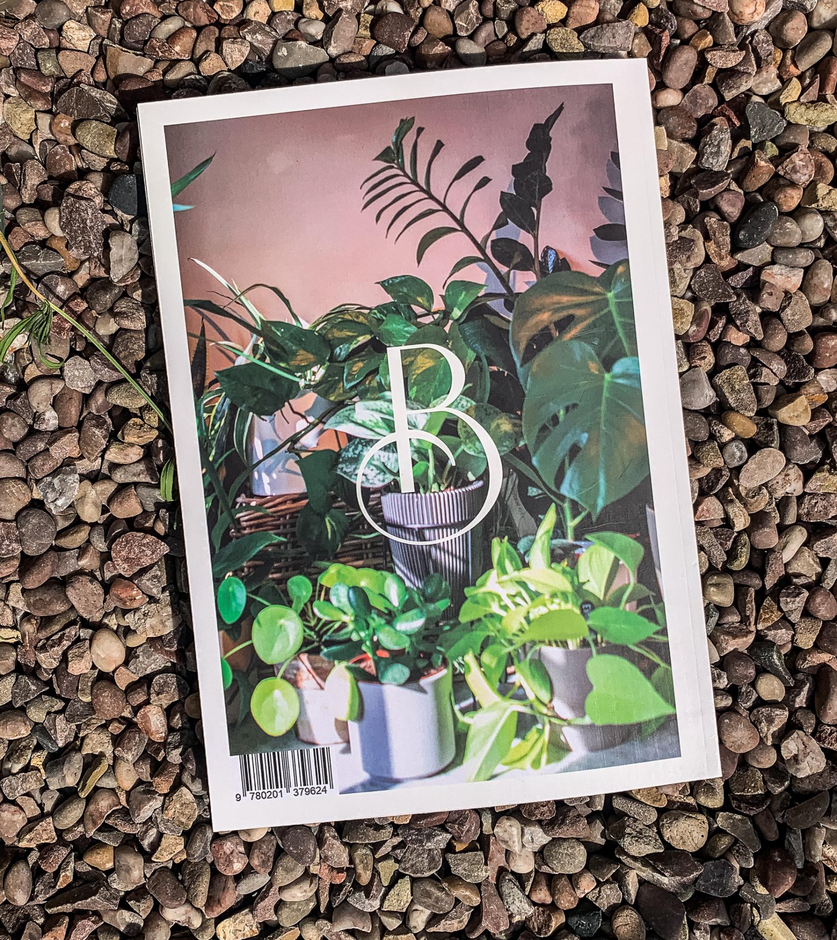 Caitlin Carter | Graphic Design