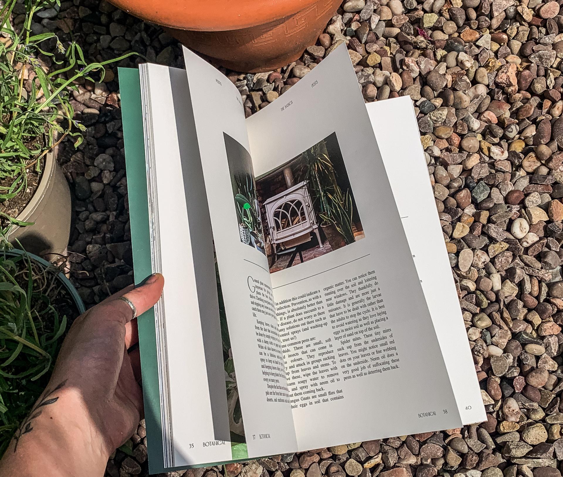 Caitlin Carter | Graphic Design 6