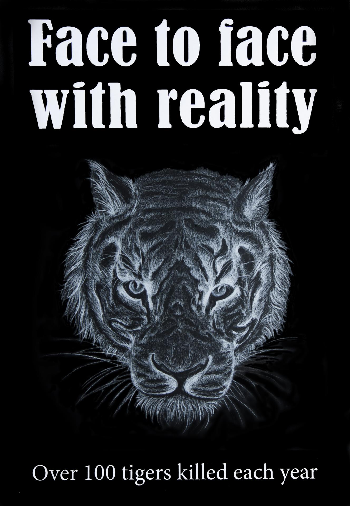 Bella Clifford | Pre-degree & Foundation Studies 3