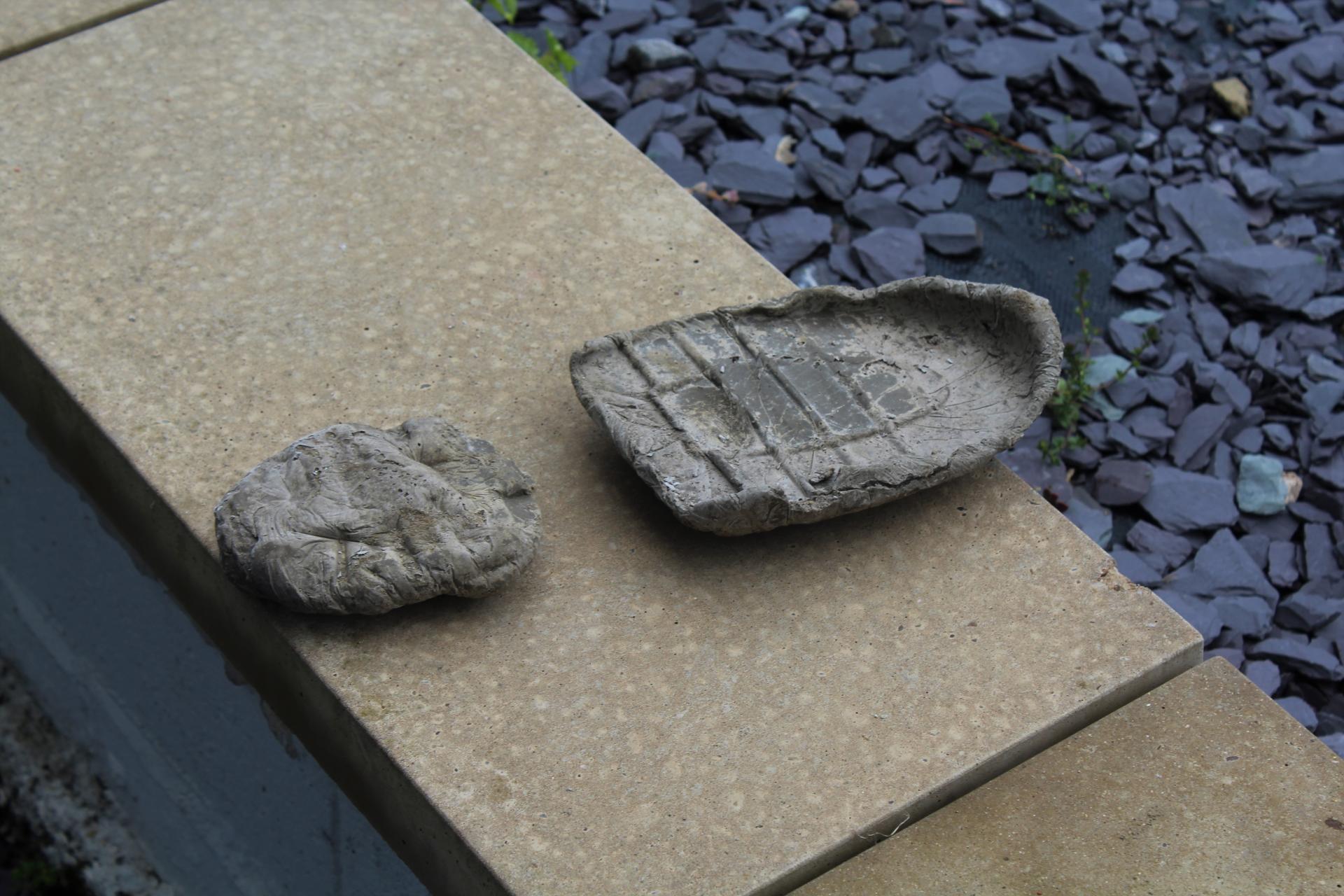 Amber Lewin | Fine Art 3