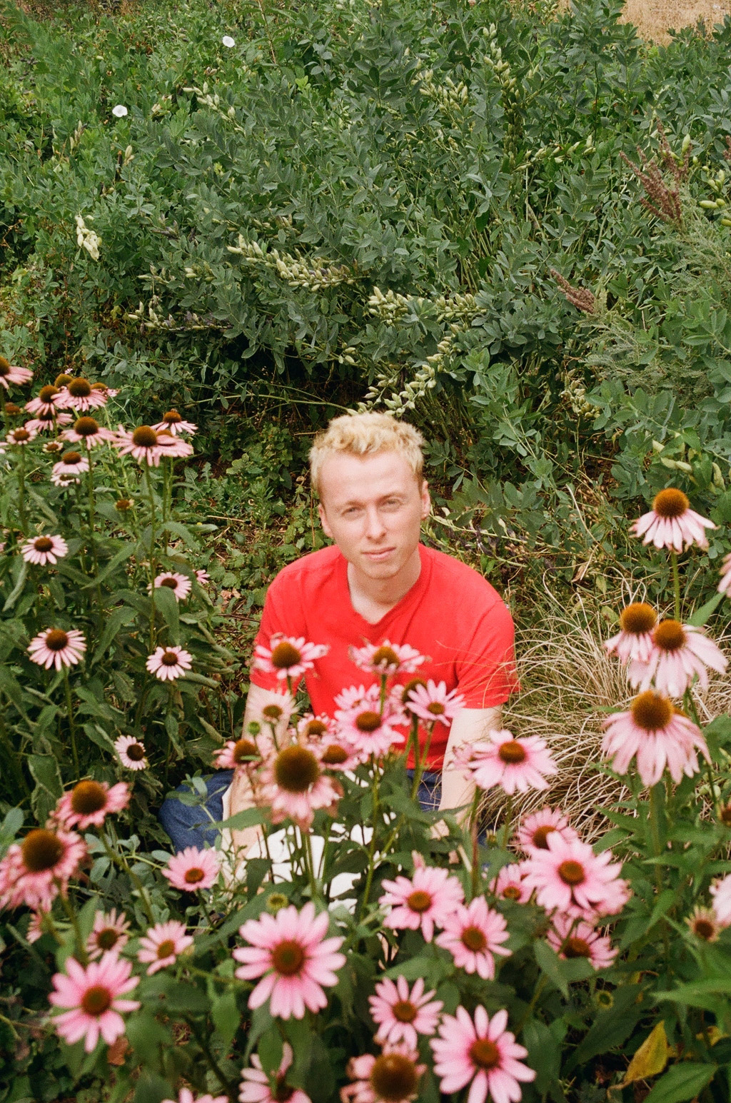 Ance Priedniece | Fine Art 1