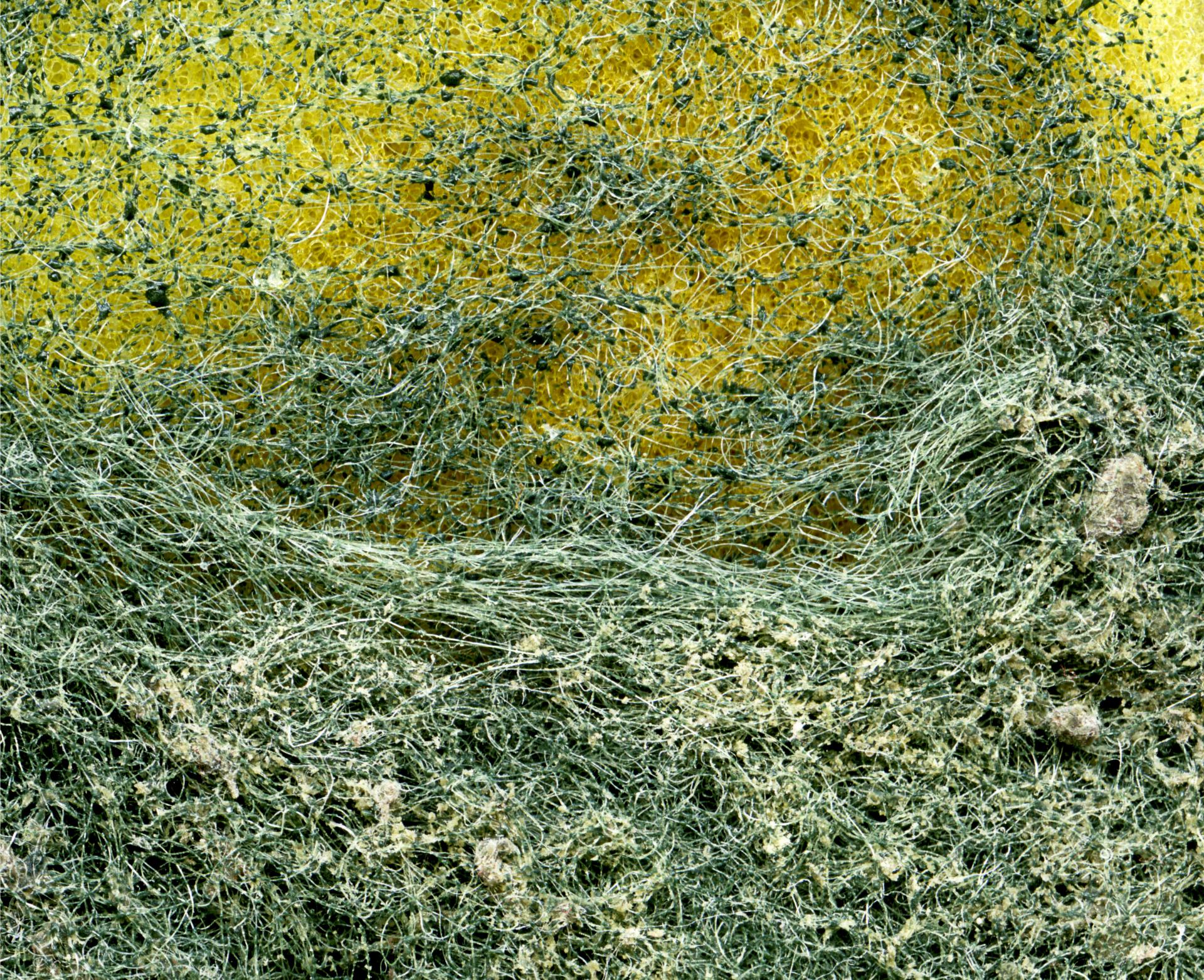 Millie Doyle | Photography 9