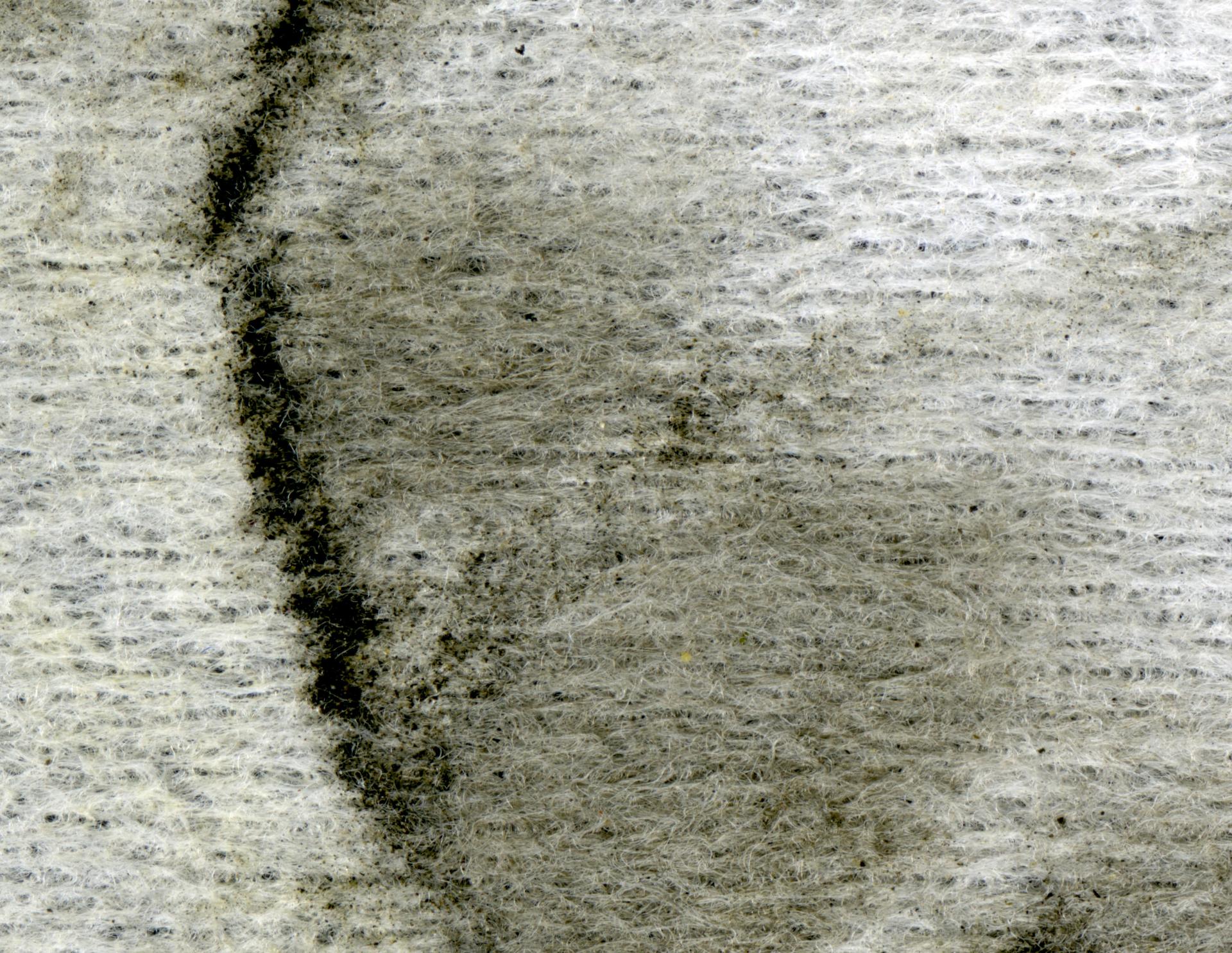 Millie Doyle | Photography 8