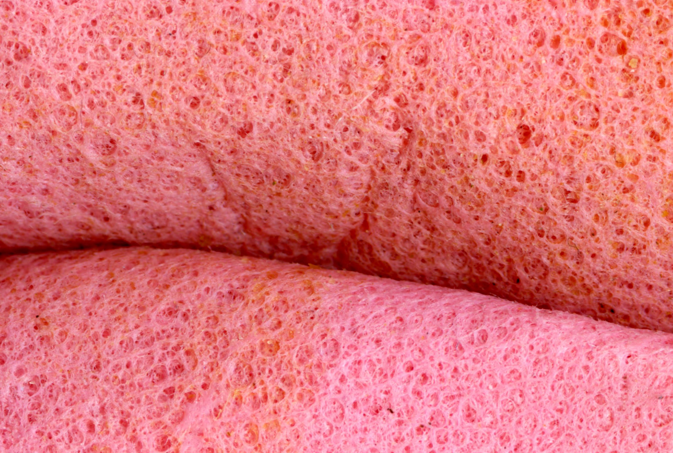 Millie Doyle | Photography 13