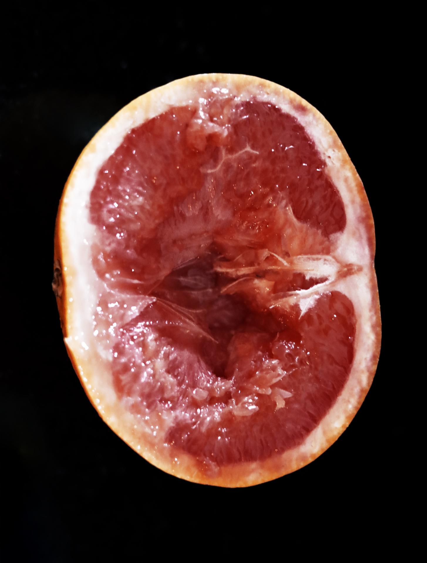 Lauren Jeffery | Photography 3