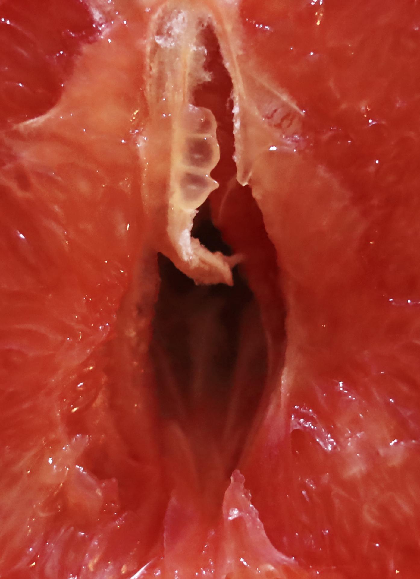 Lauren Jeffery | Photography 2