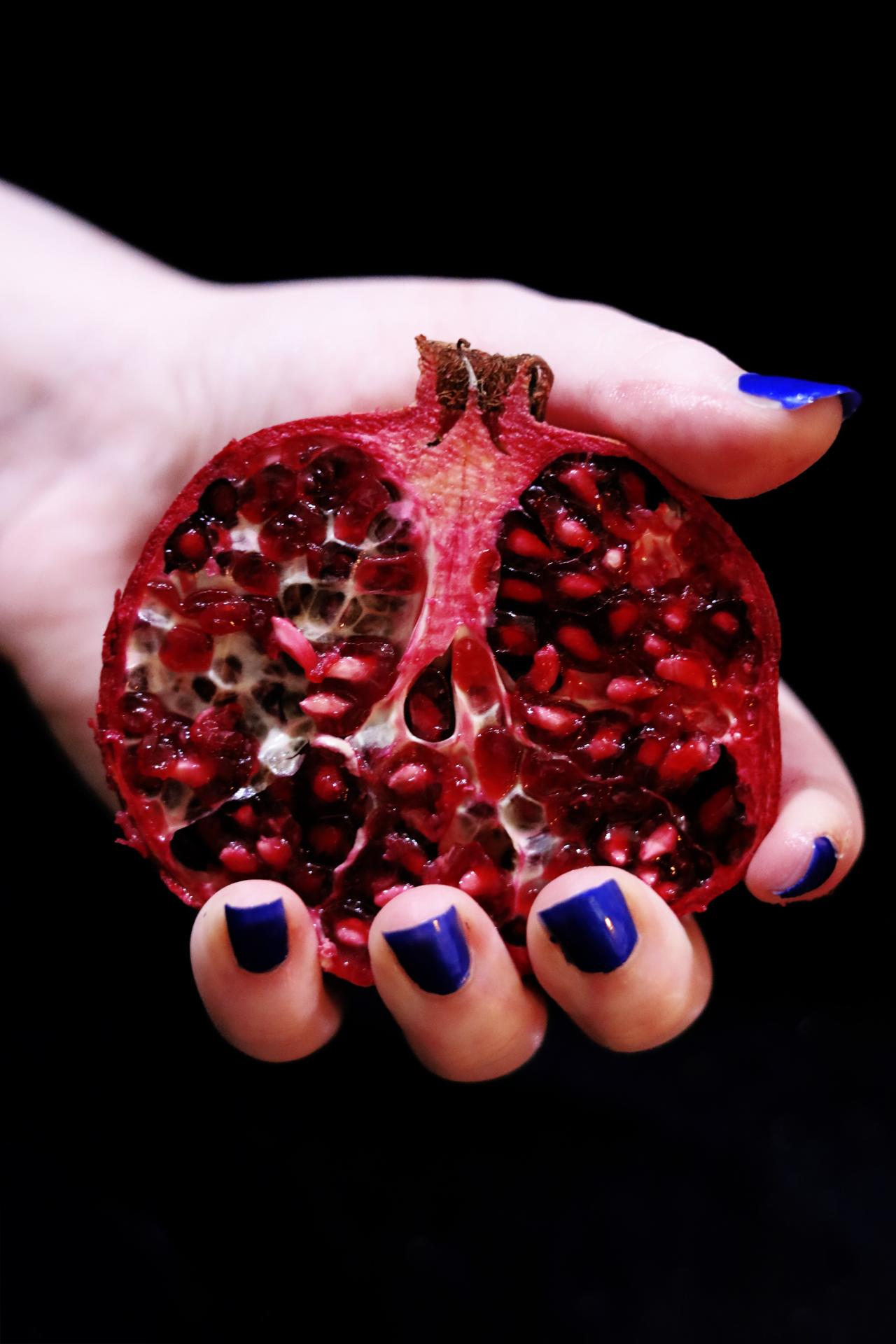 Lauren Jeffery | Photography 1