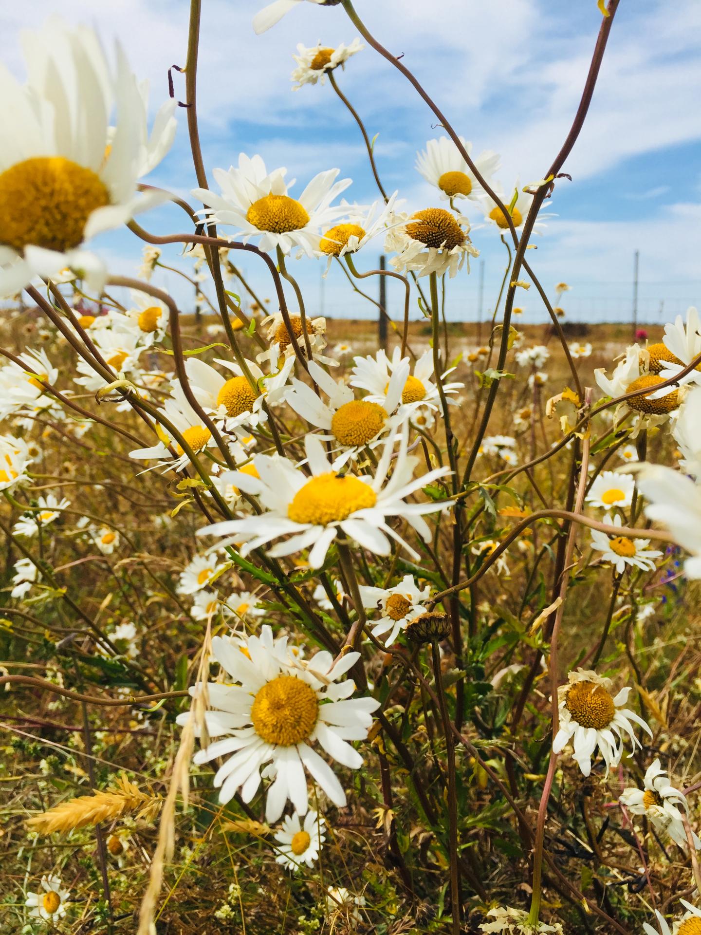 Tom Jamin | Pre-degree & Foundation Studies 5