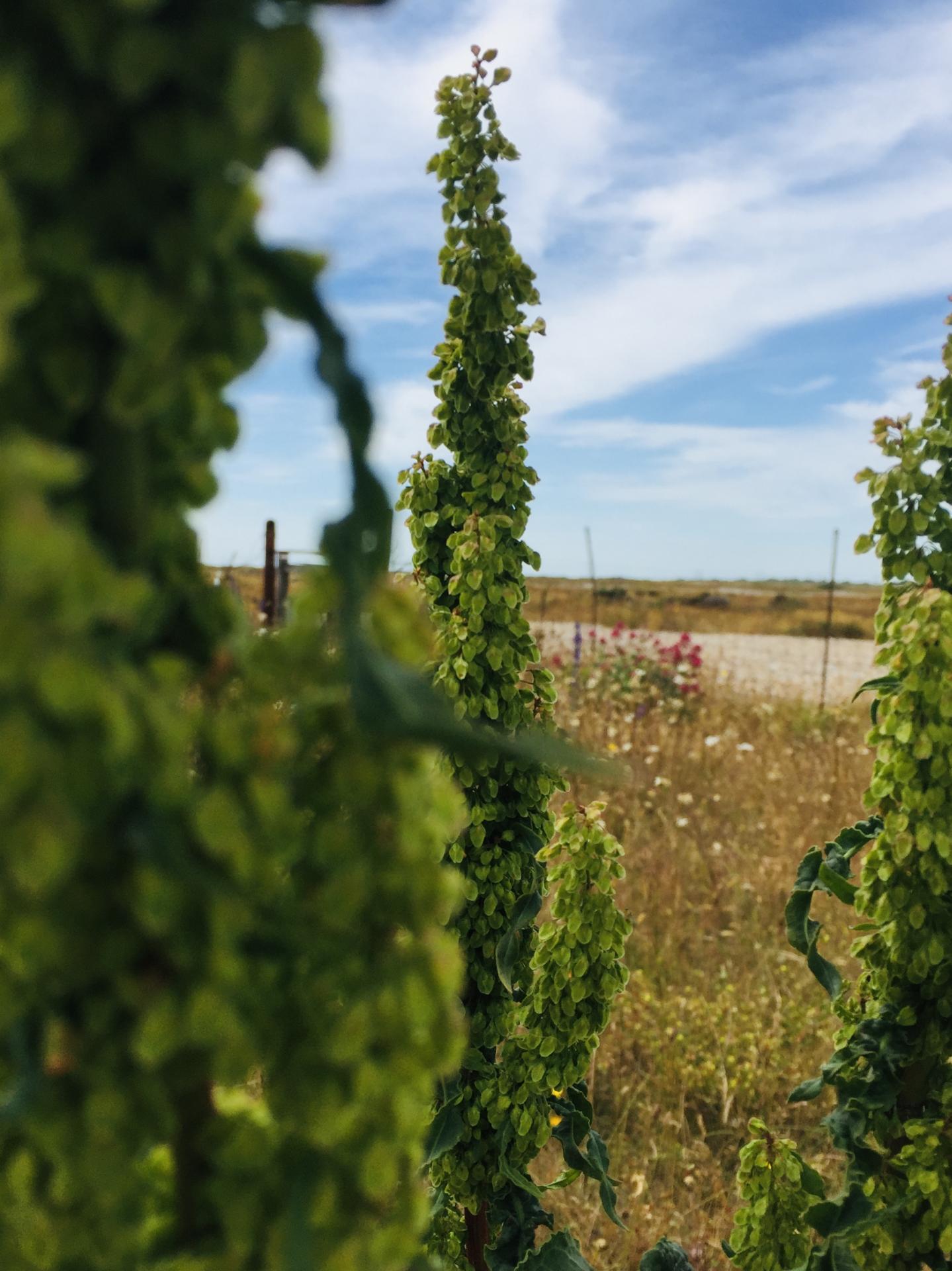 Tom Jamin | Pre-degree & Foundation Studies 2