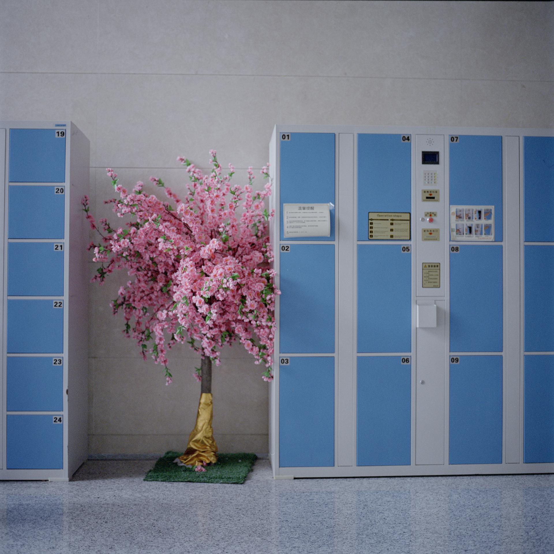 Jiahui Ye | Photography 4