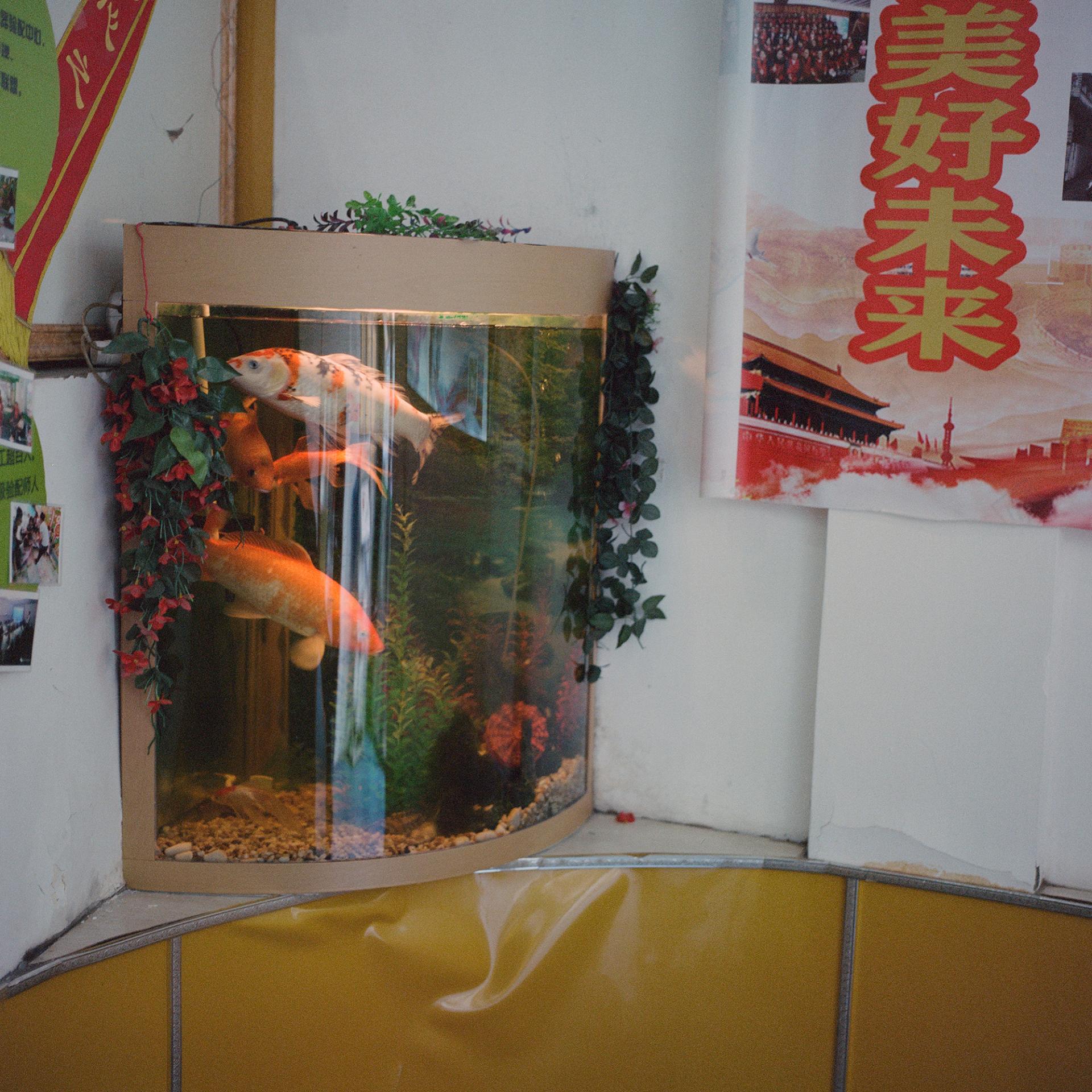 Jiahui Ye | Photography 1