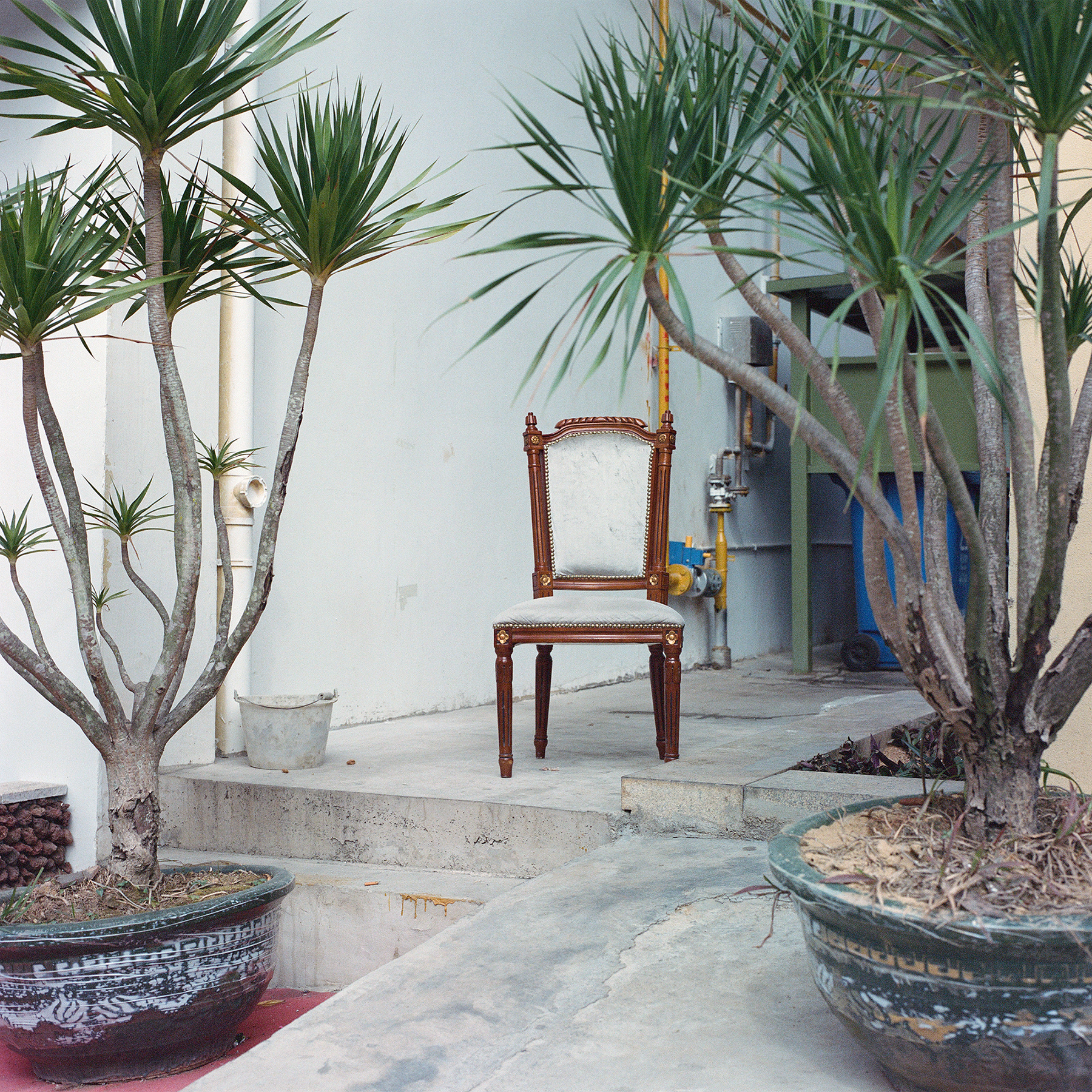 Jiahui Ye | Photography 2