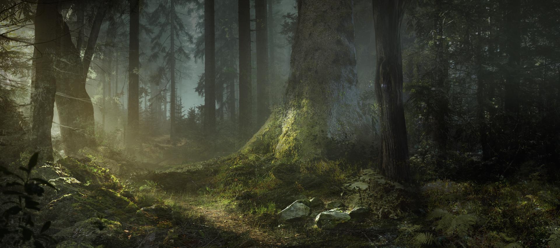 Harry Rowland | Games 7