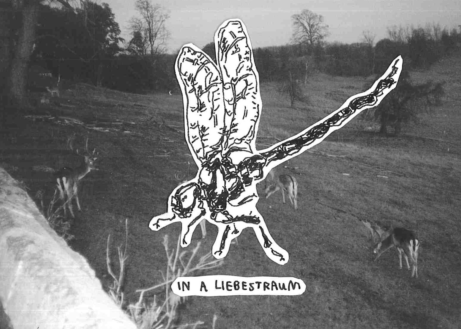 Lydia Stone | Pre-degree & Foundation Studies 4