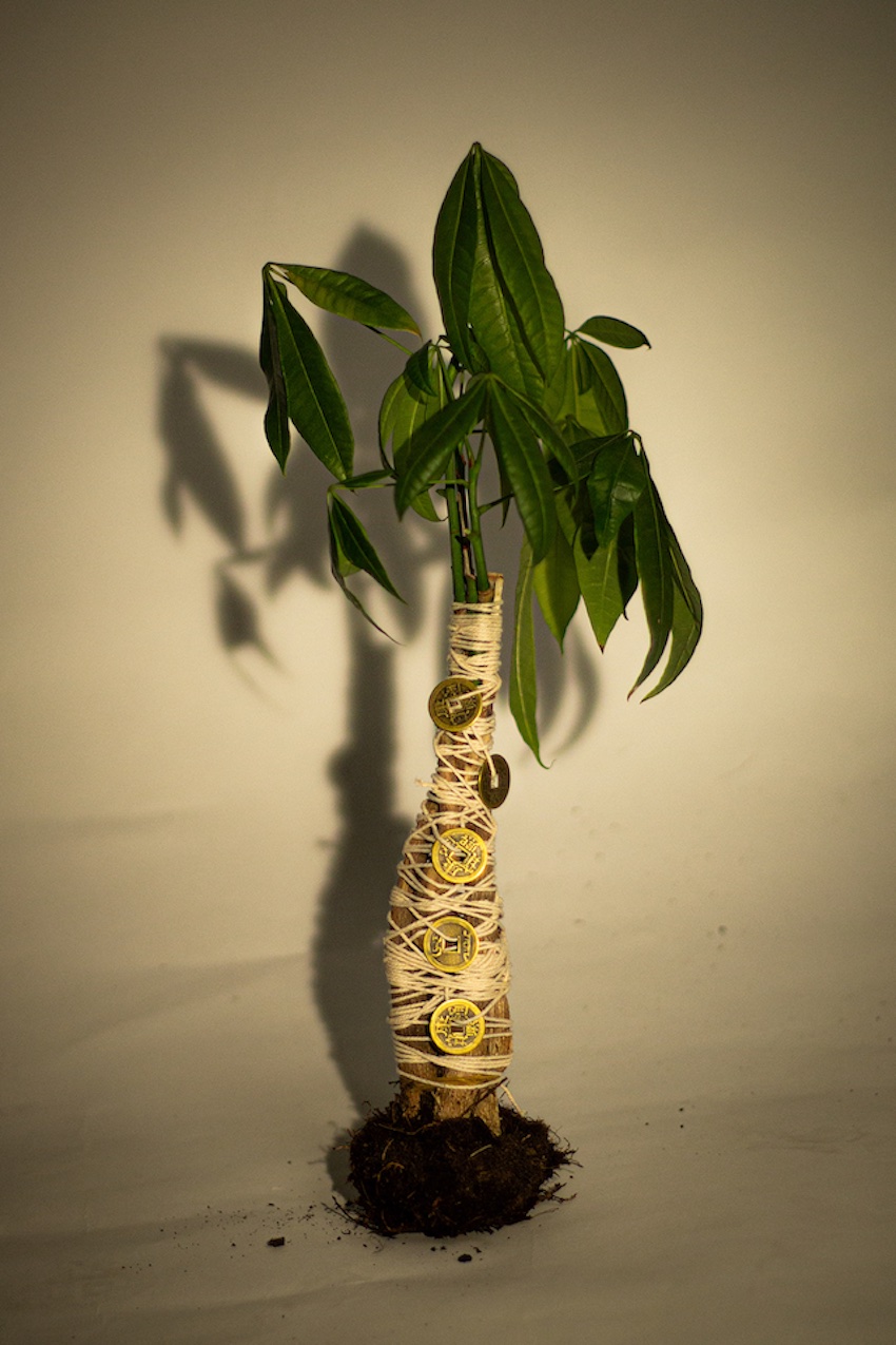 Anthony Lim | Photography 1