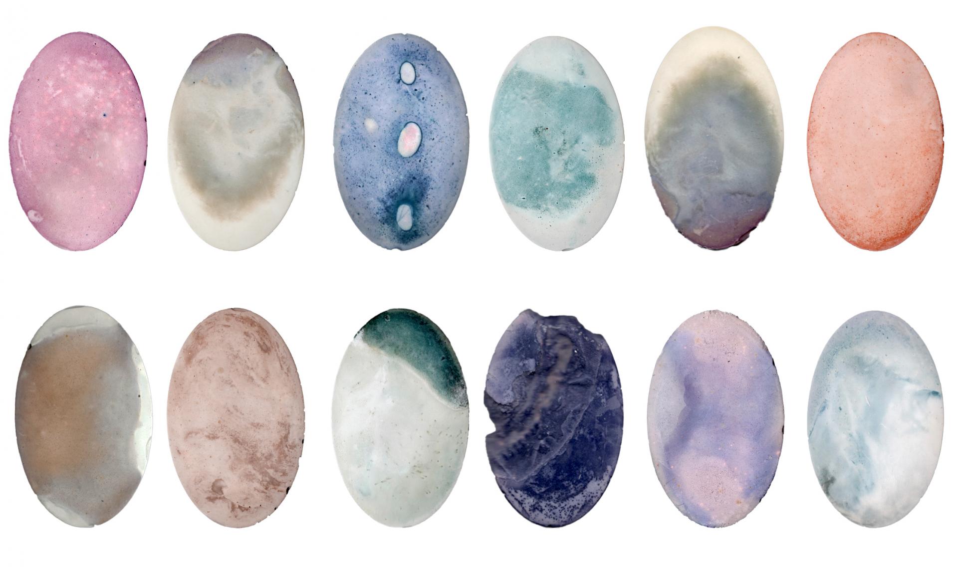 Coral Pryke-Syrett | Fine Art 1