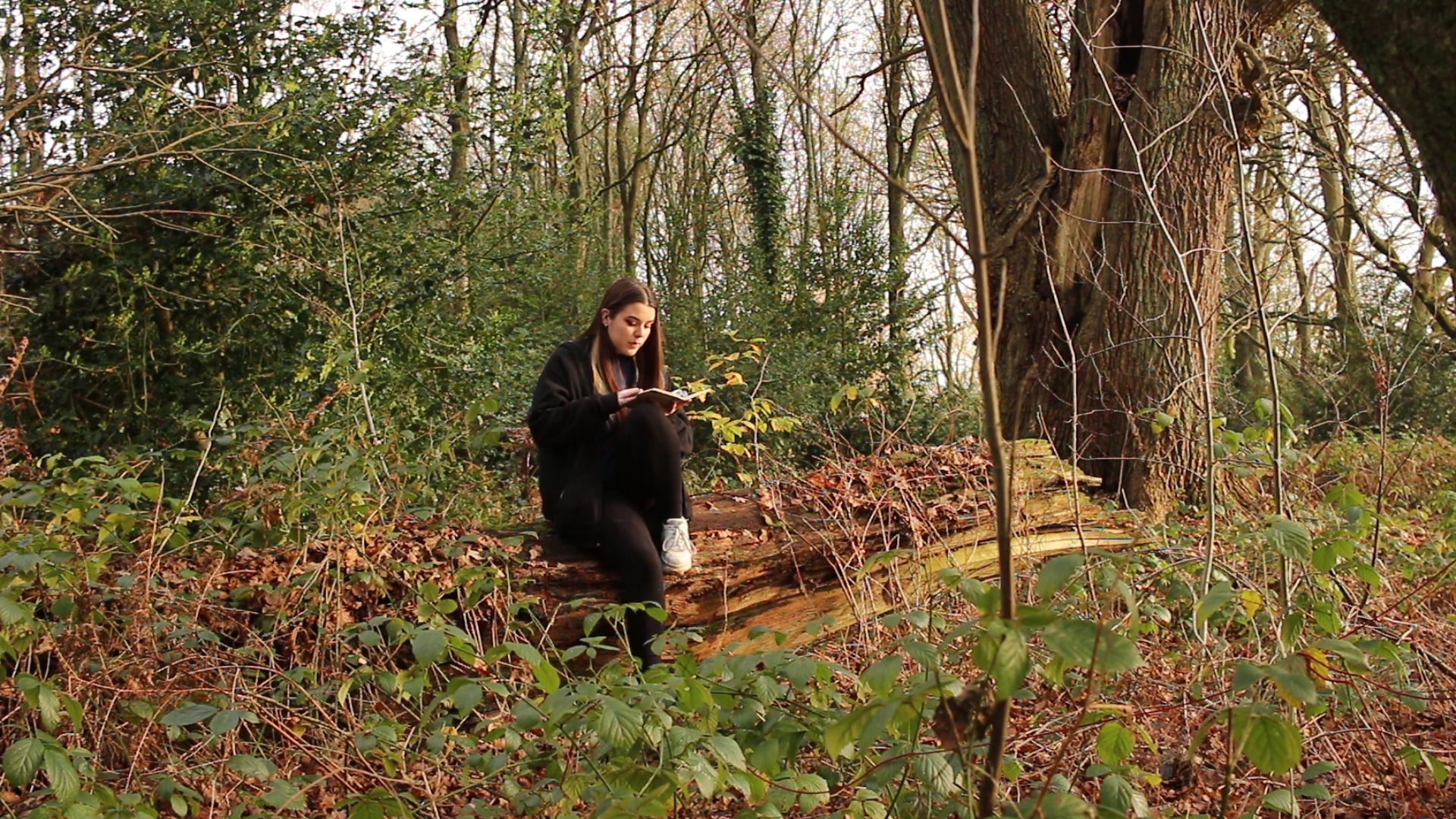 Isabelle Phoebe | Fine Art 5