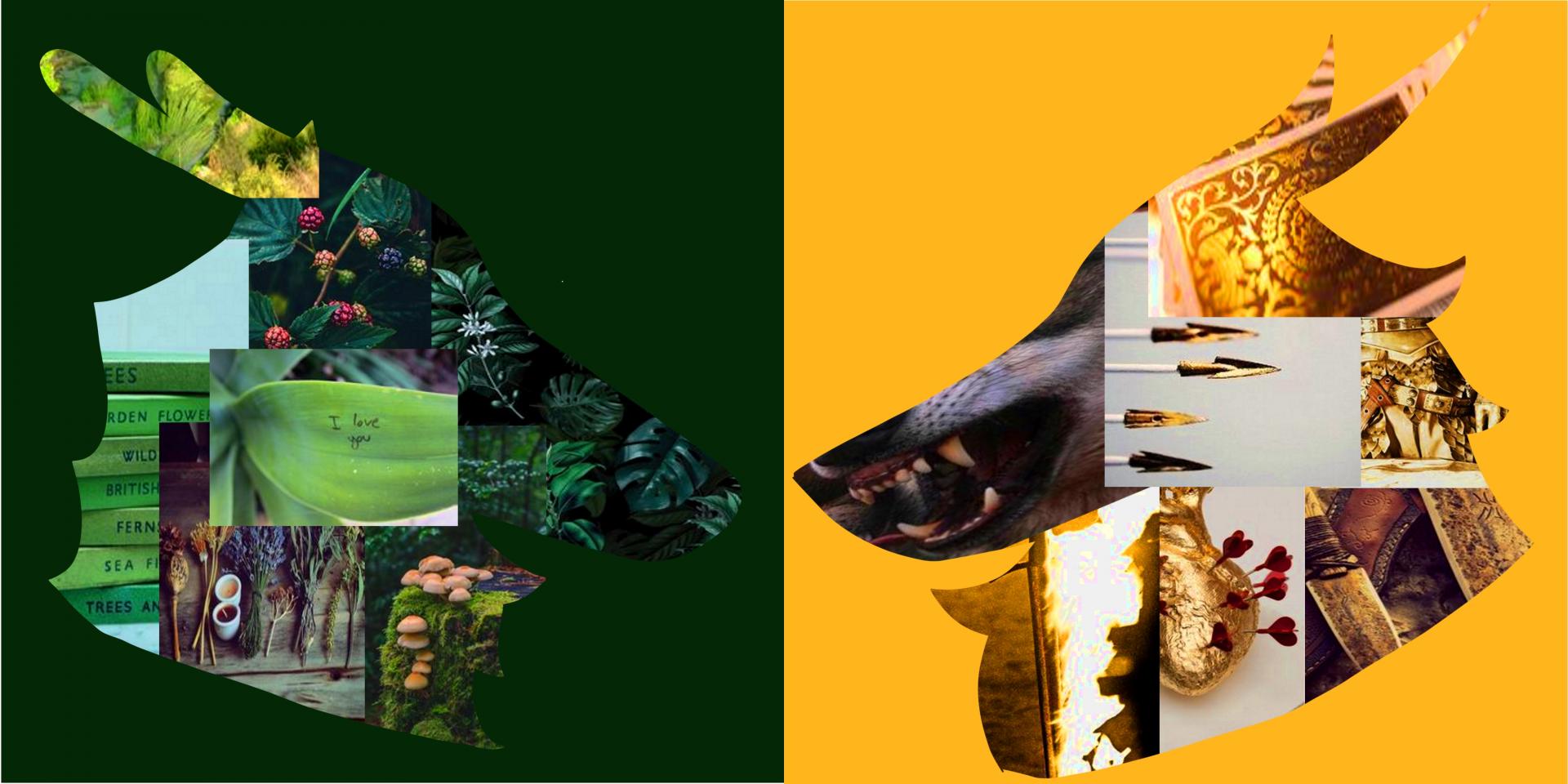 Quentin Stevenson | Pre-degree & Foundation Studies 5