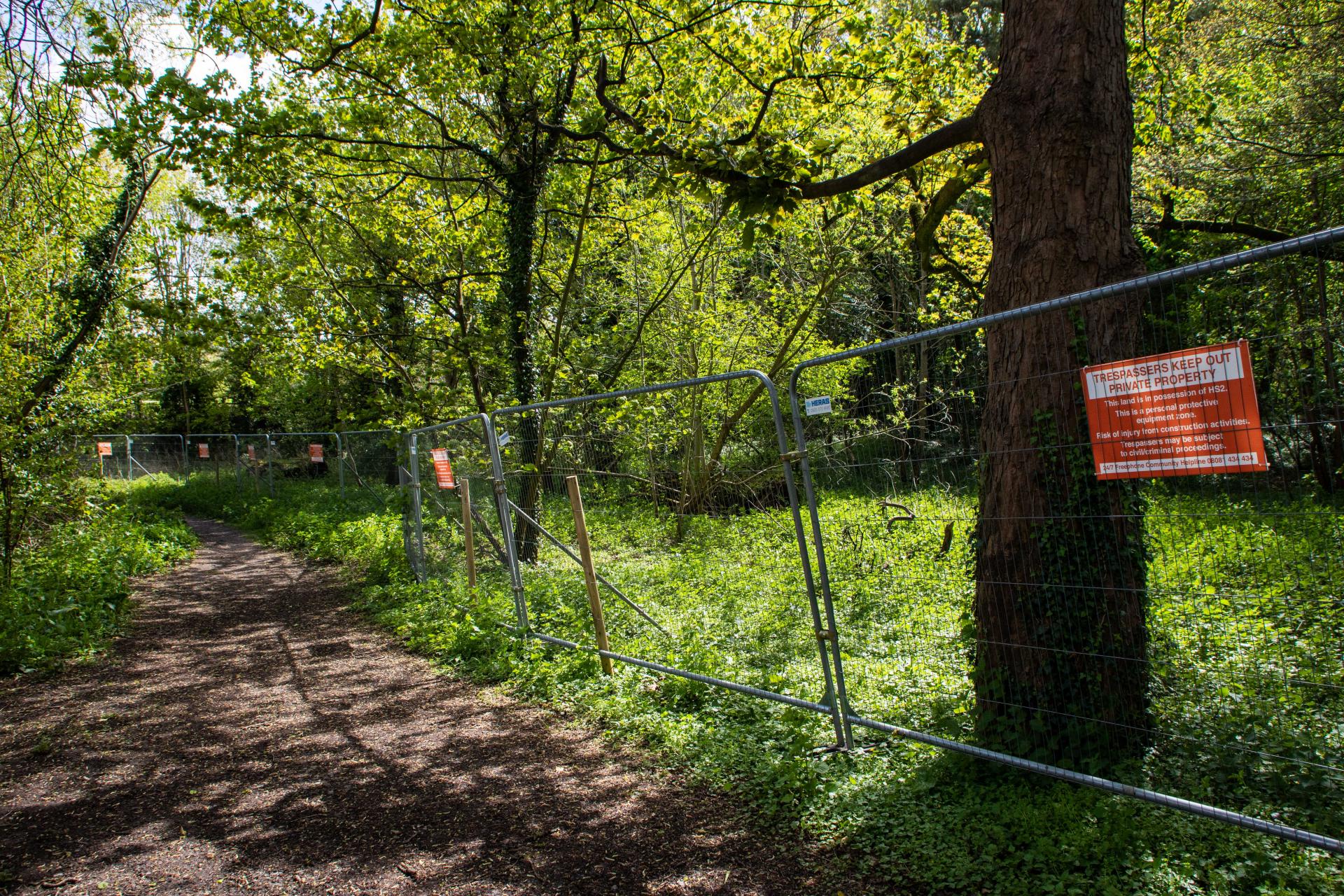 Morgan Masters | Photography 4