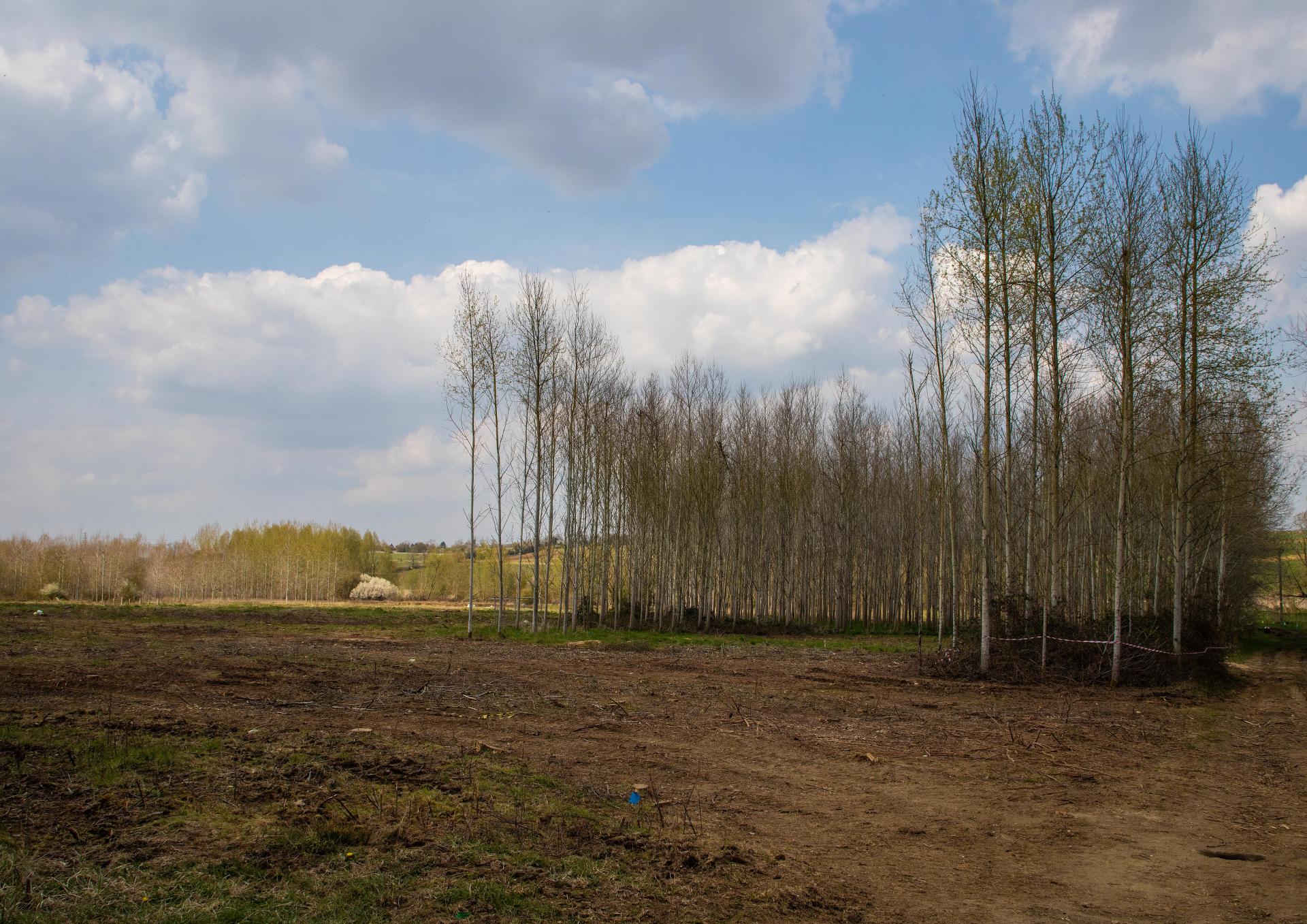 Morgan Masters | Photography 1