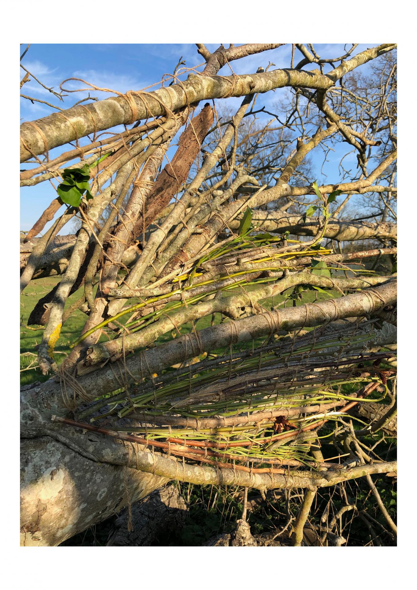 Molly Clark | Pre-degree & Foundation Studies 4