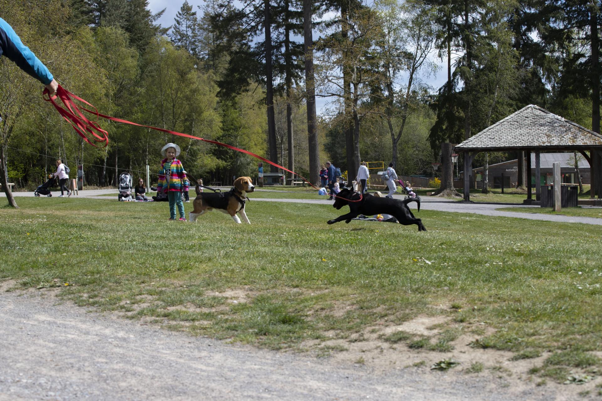 Jodie Ashforth | Photography 10