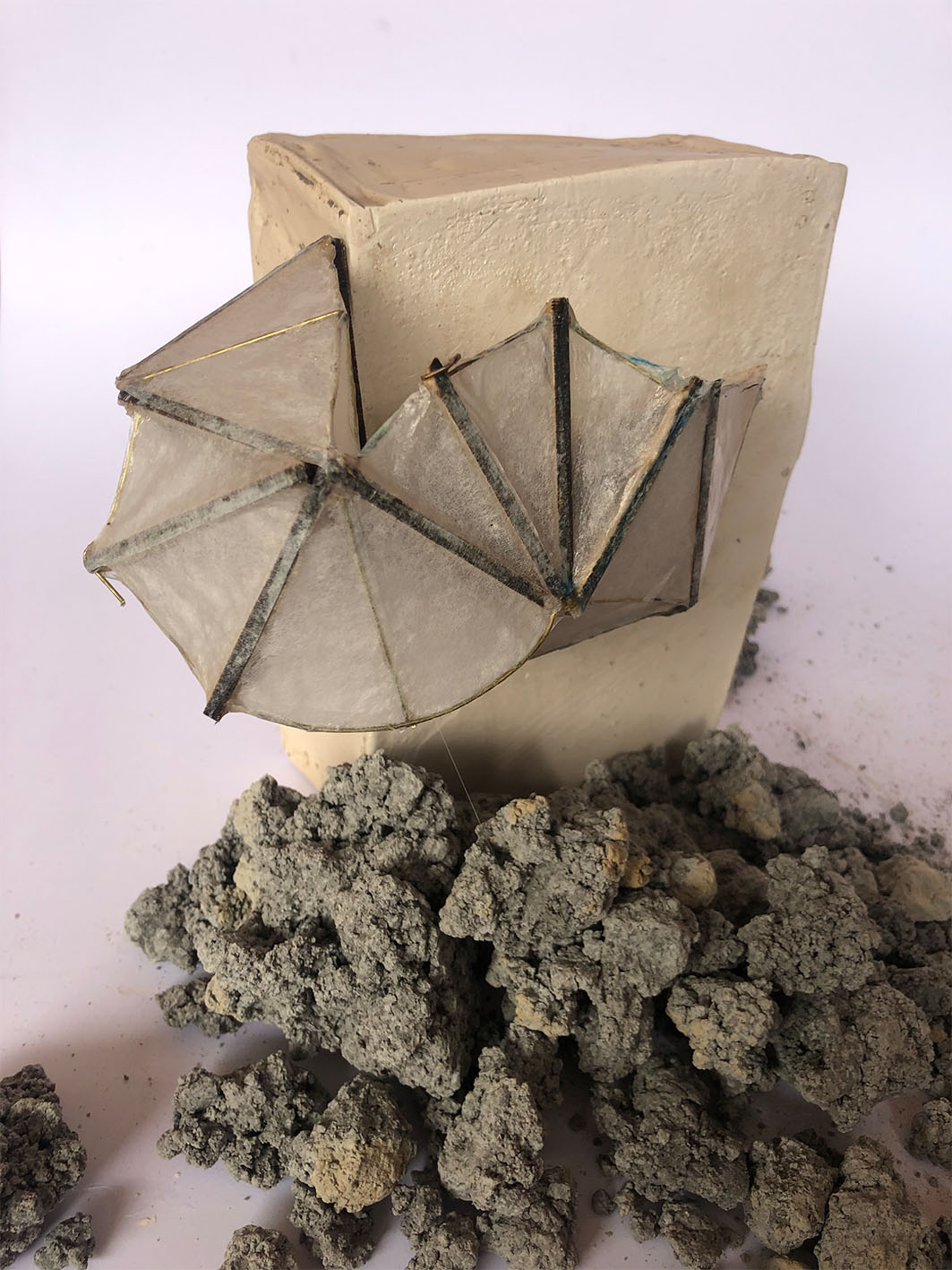 Sasha Hanslip Ward | Pre-degree & Foundation Studies 2