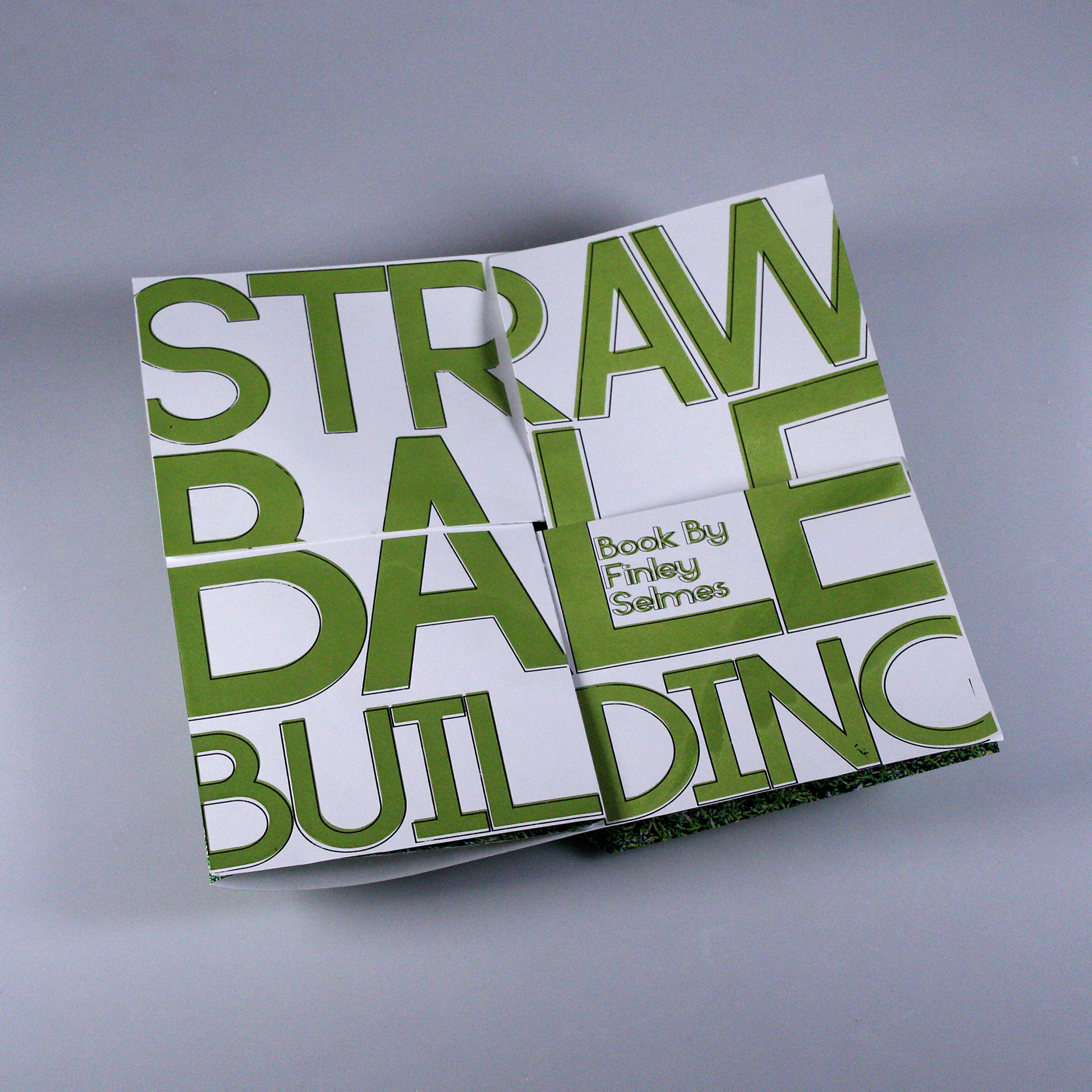 Finley Selmes | Graphic Design 3