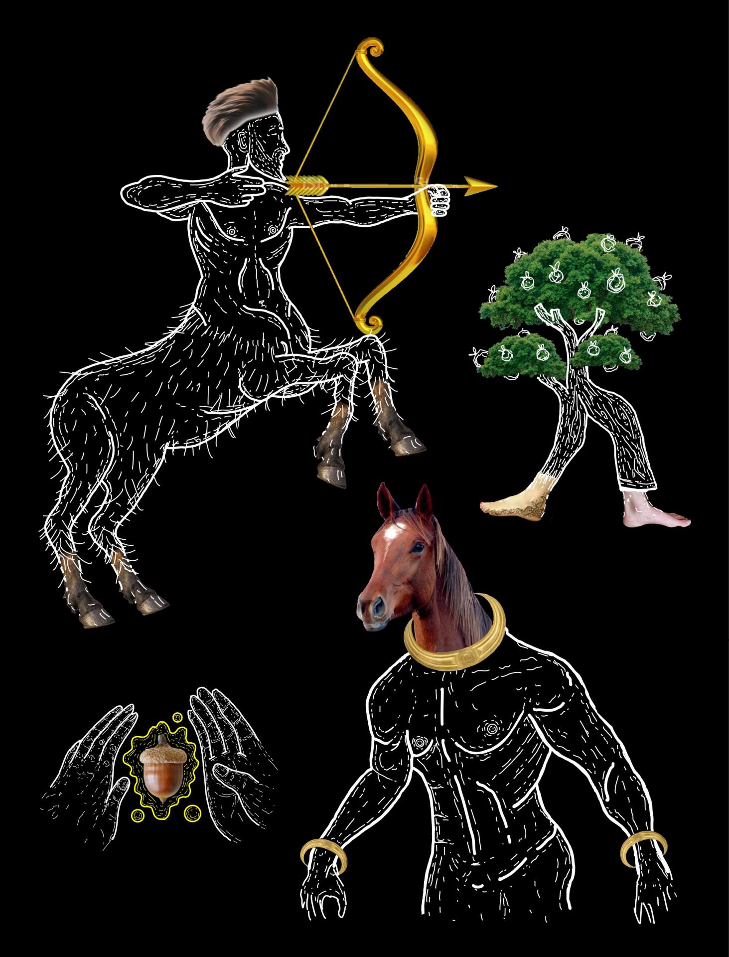 Aryana Deen | Graphic Design 2