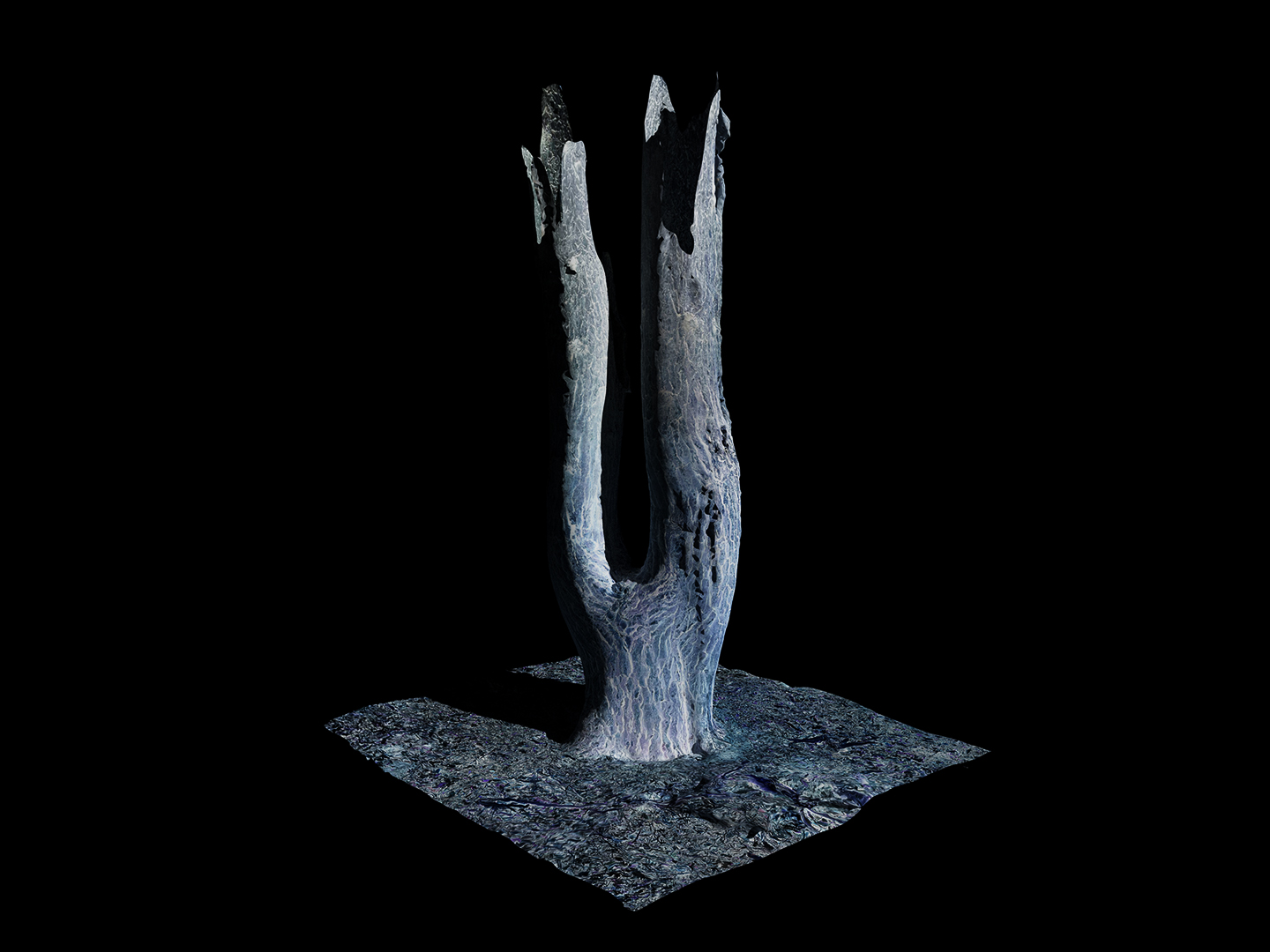 Jasmine Pope | Photography 3