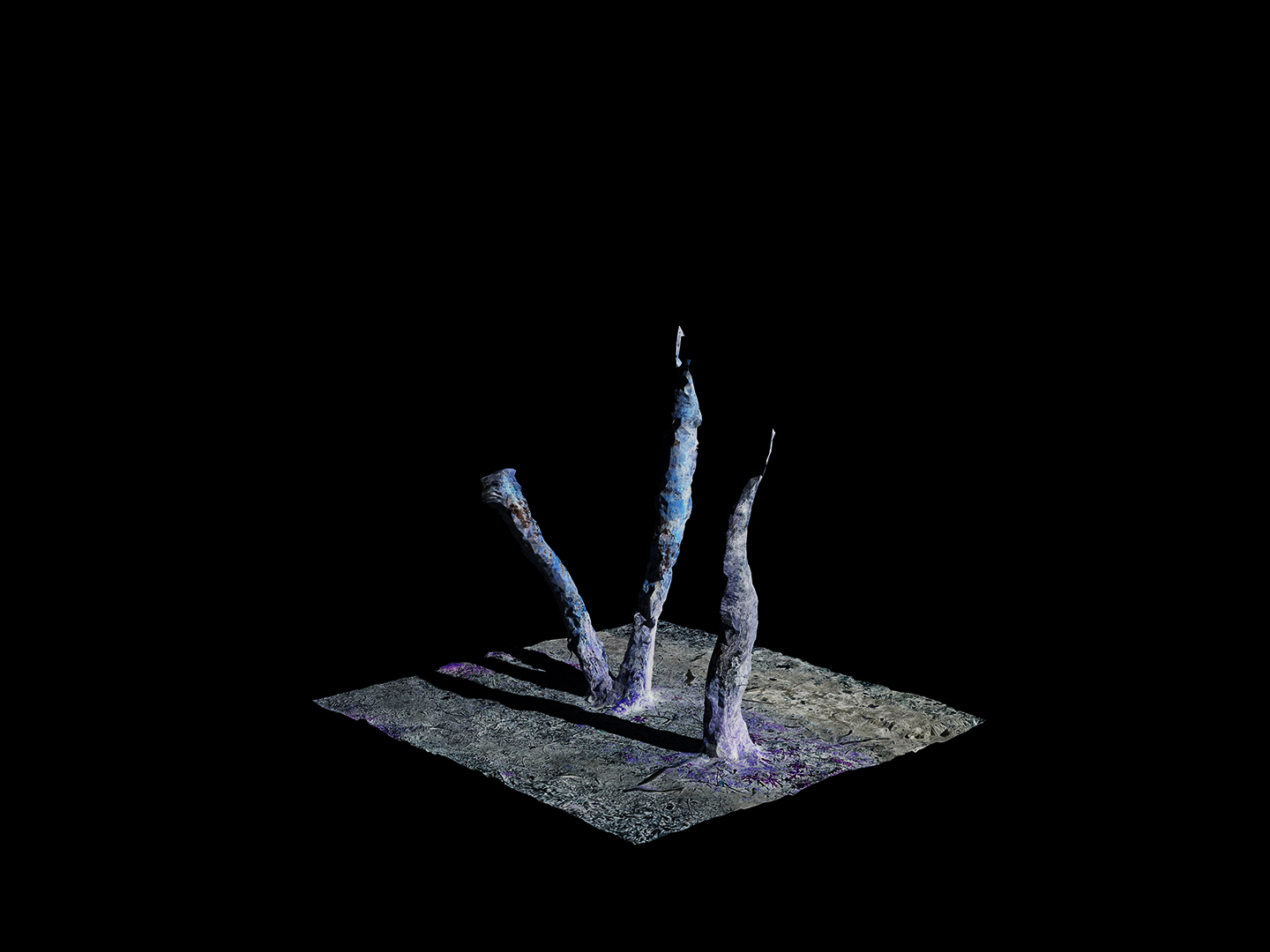 Jasmine Pope | Photography 1