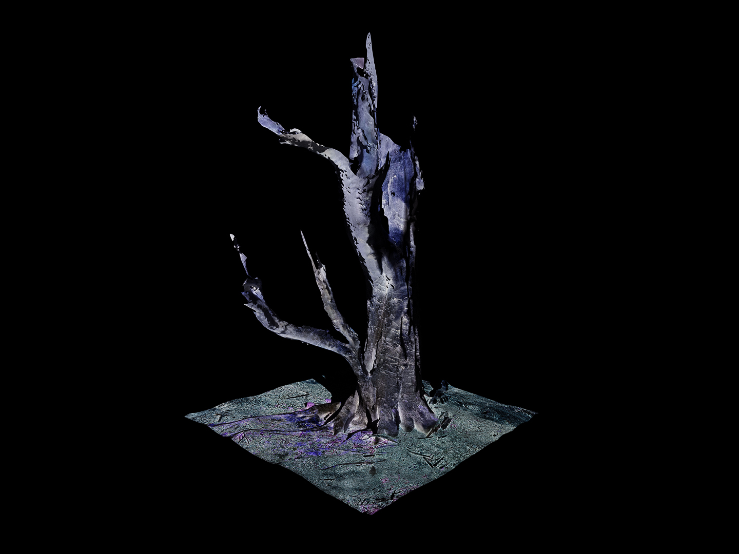 Jasmine Pope | Photography 2