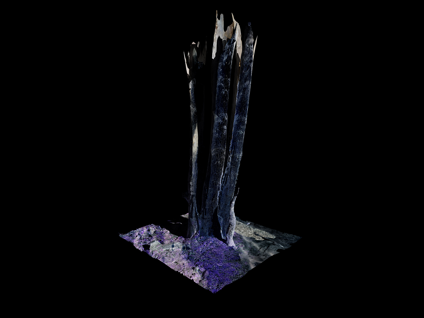 Jasmine Pope | Photography