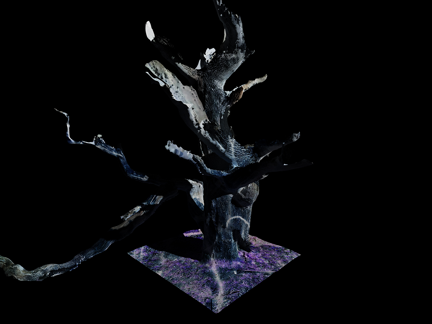 Jasmine Pope | Photography 4