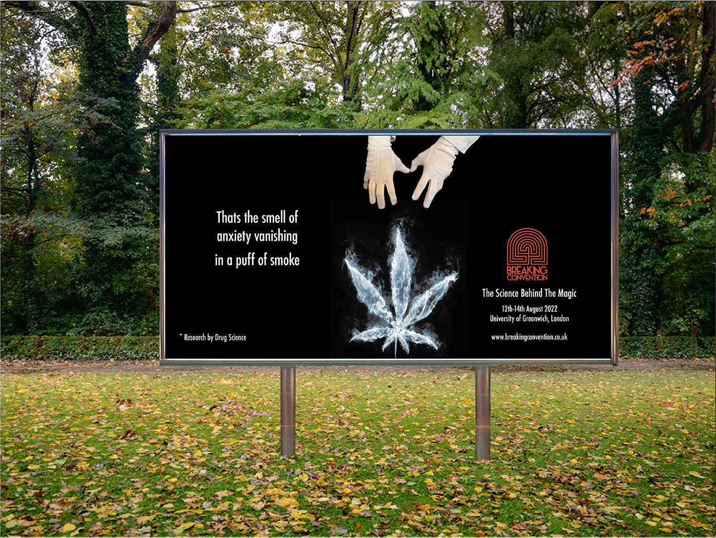 Chad Brewer | Advertising 3