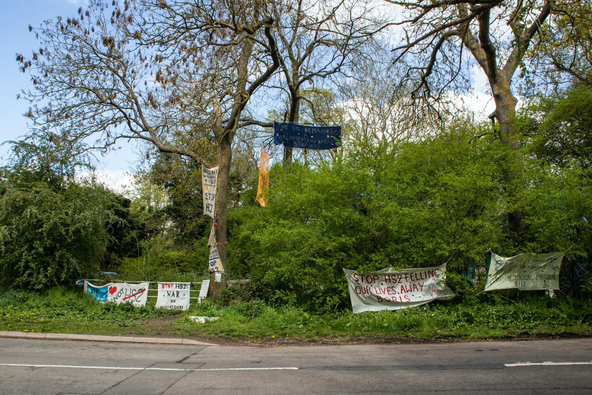 Morgan Masters | Photography 10