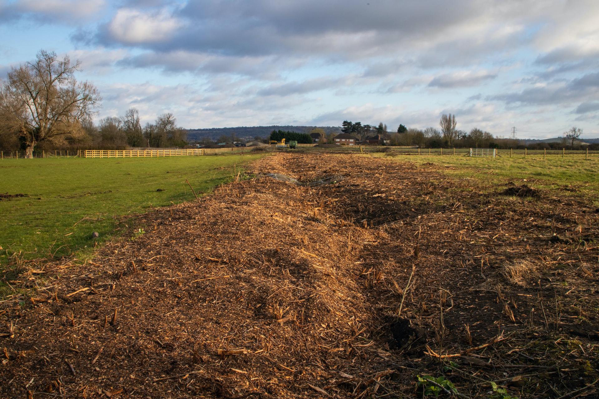 Morgan Masters | Photography 8