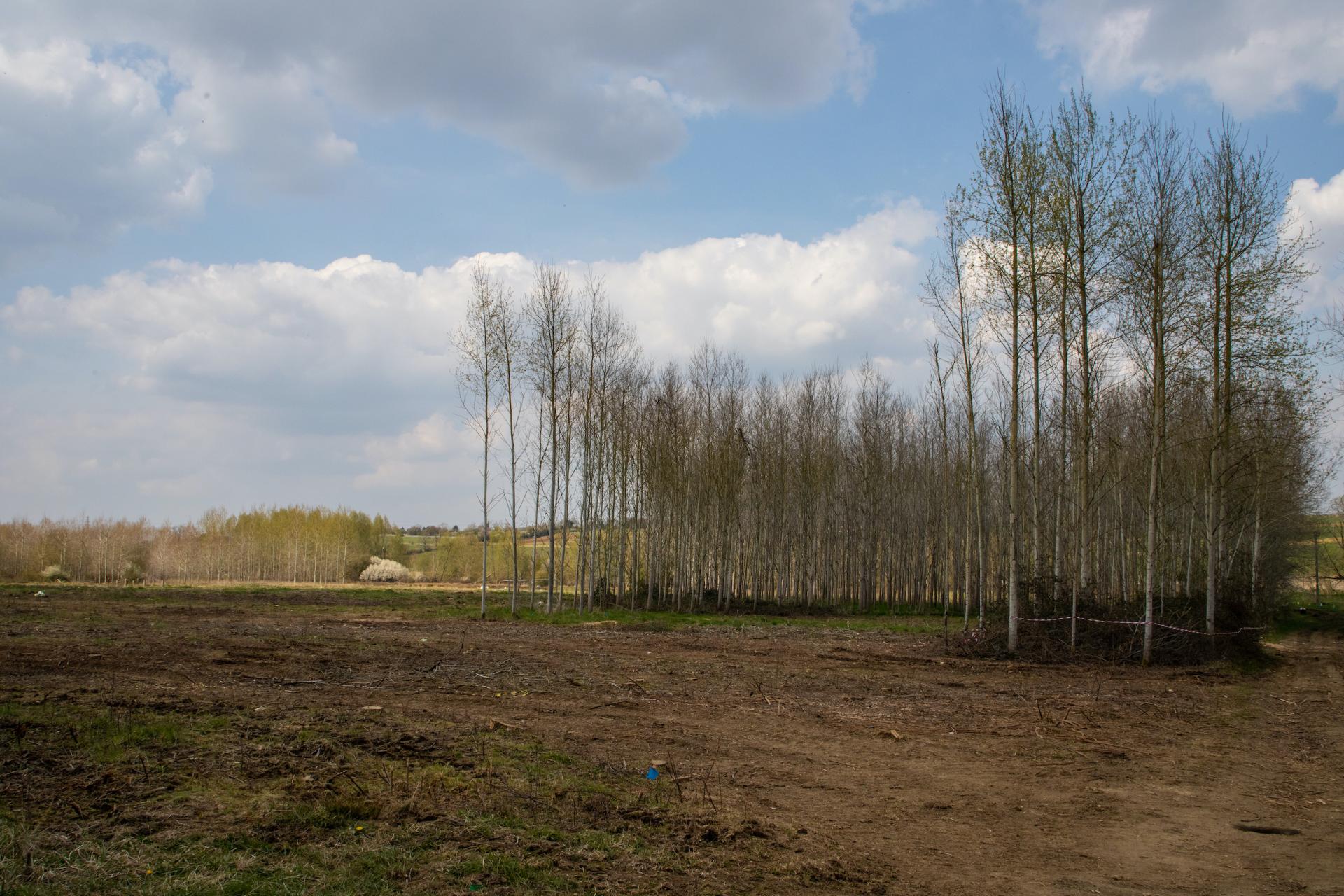 Morgan Masters | Photography 7