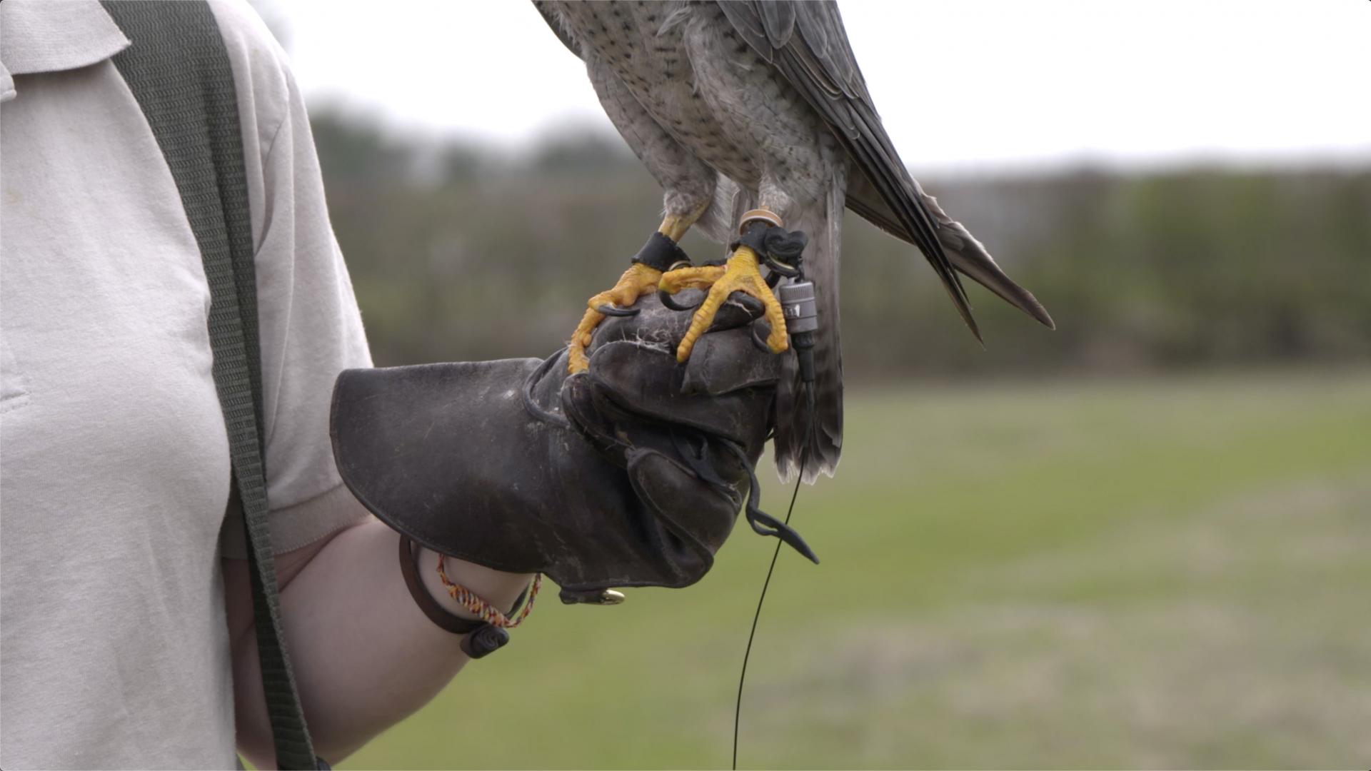 Richard Brown | Fine Art 6