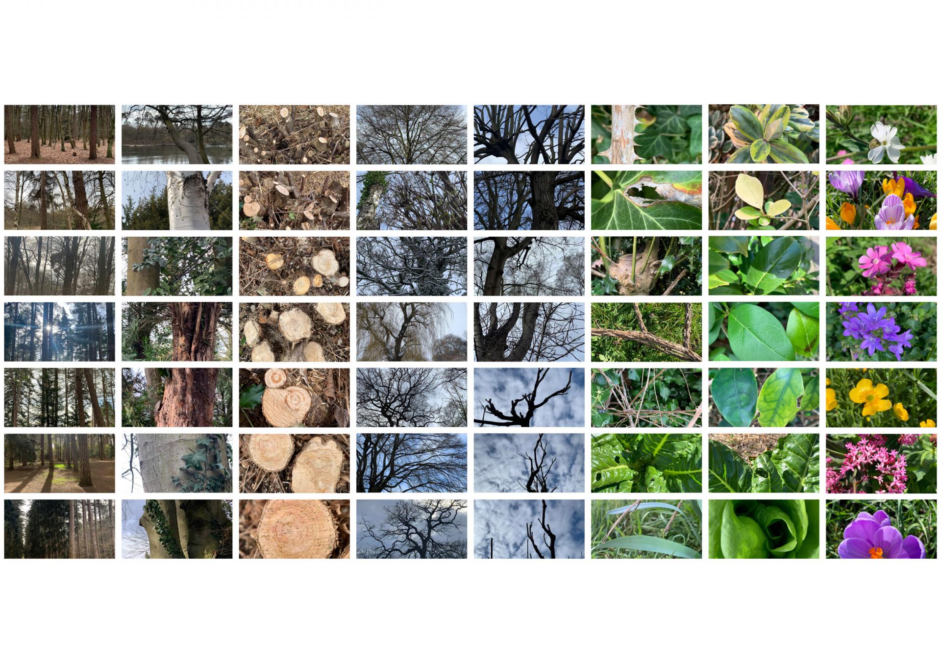 Natalia Pascucci | Graphic Design