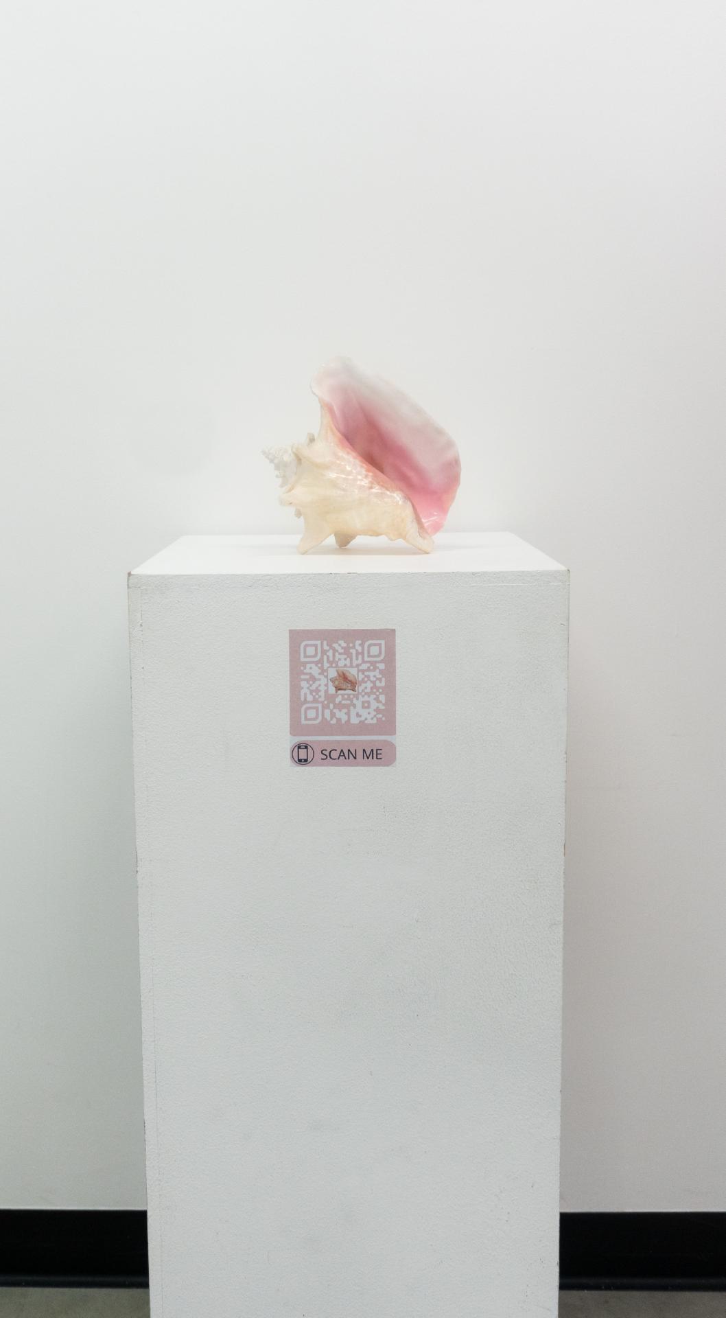 Elisha Fall | Fine Art