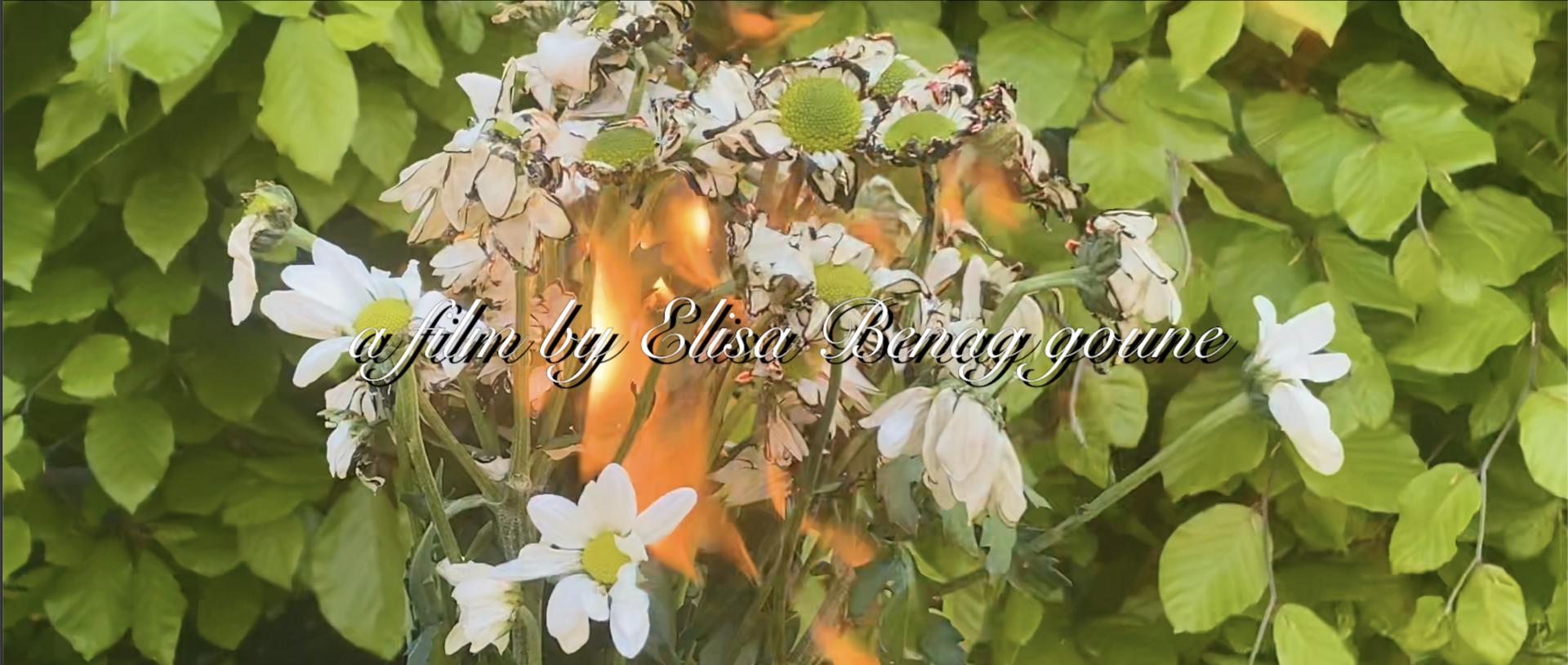 Elisa Benagoune | Fine Art 1